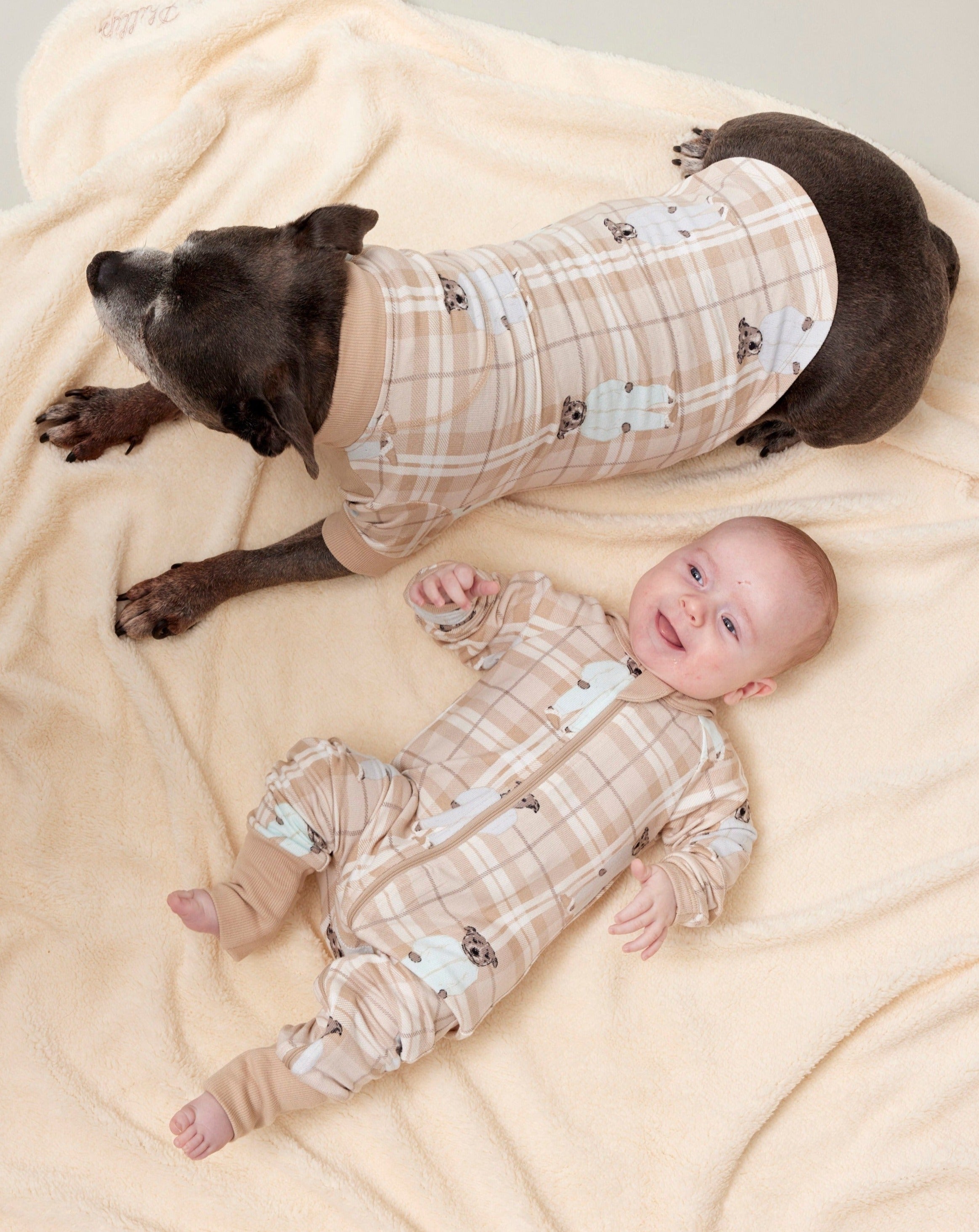 Darren and Phillip match your dog pyjamas.