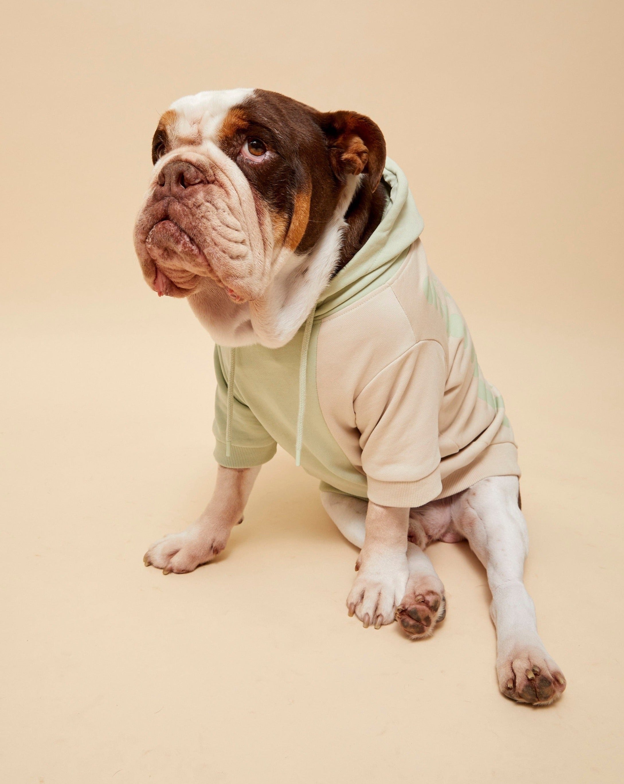 Darren and Phillip matching dog hoody.