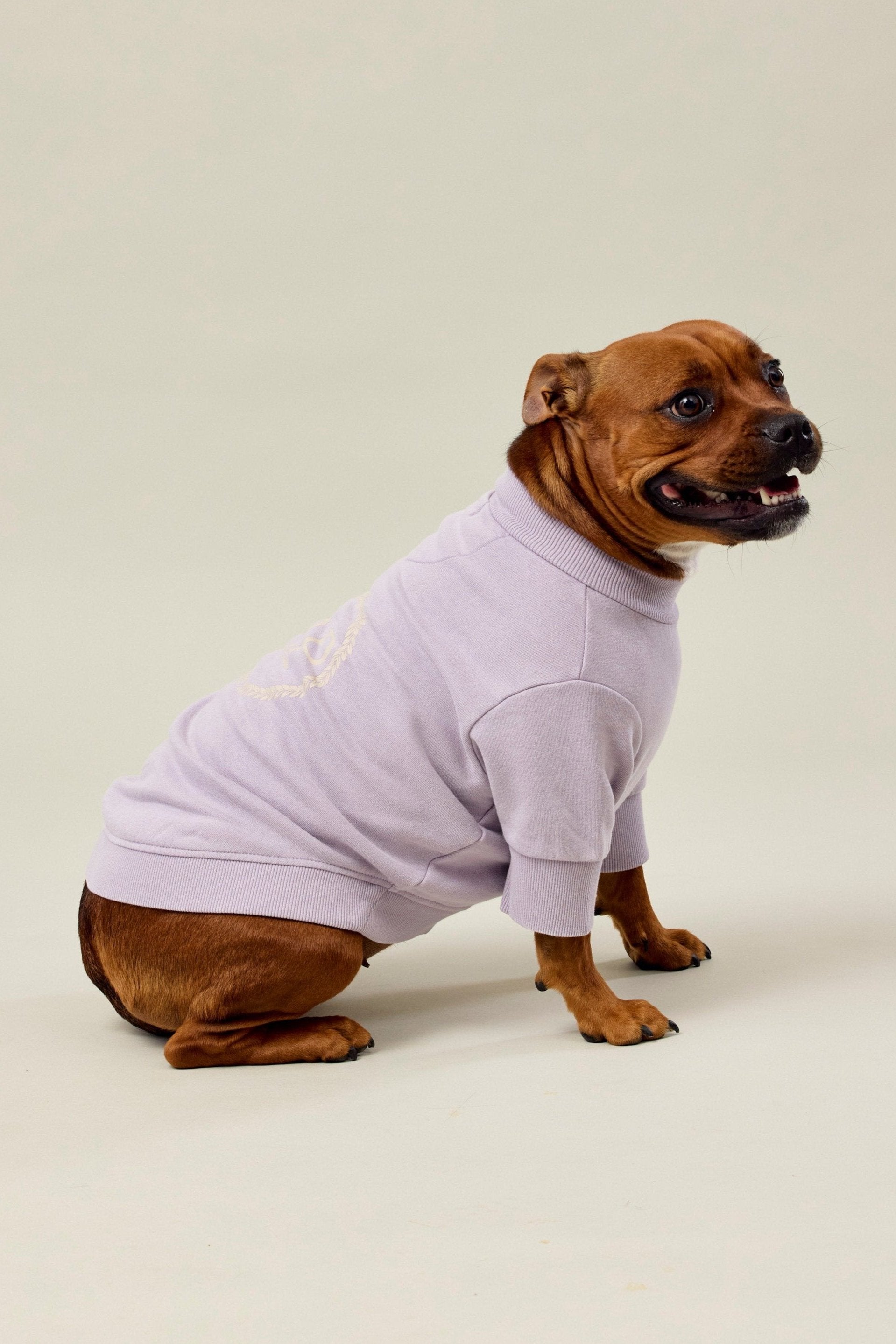 BFF Dog Sweatshirt - Lilac