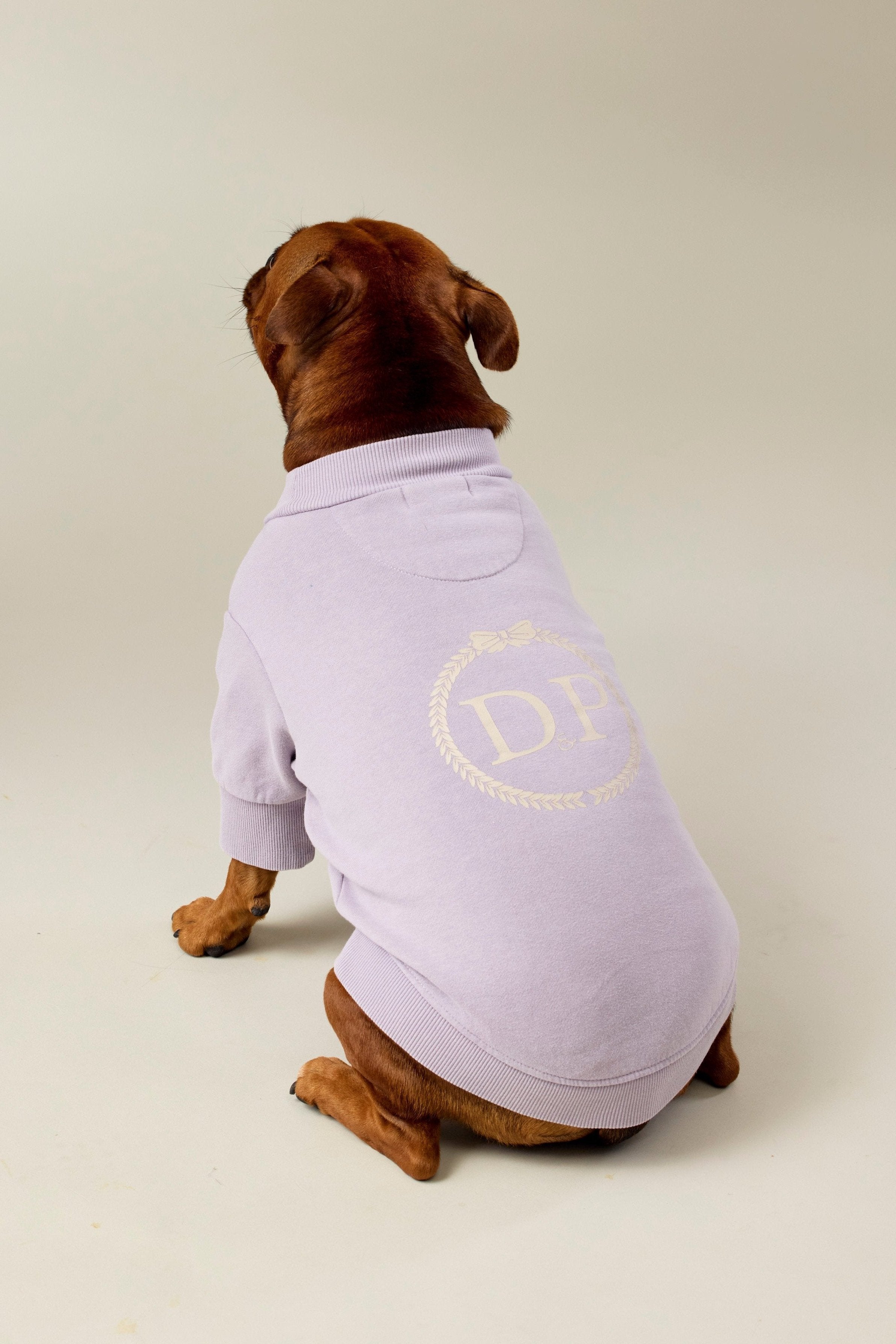 BFF Dog Sweatshirt - Lilac