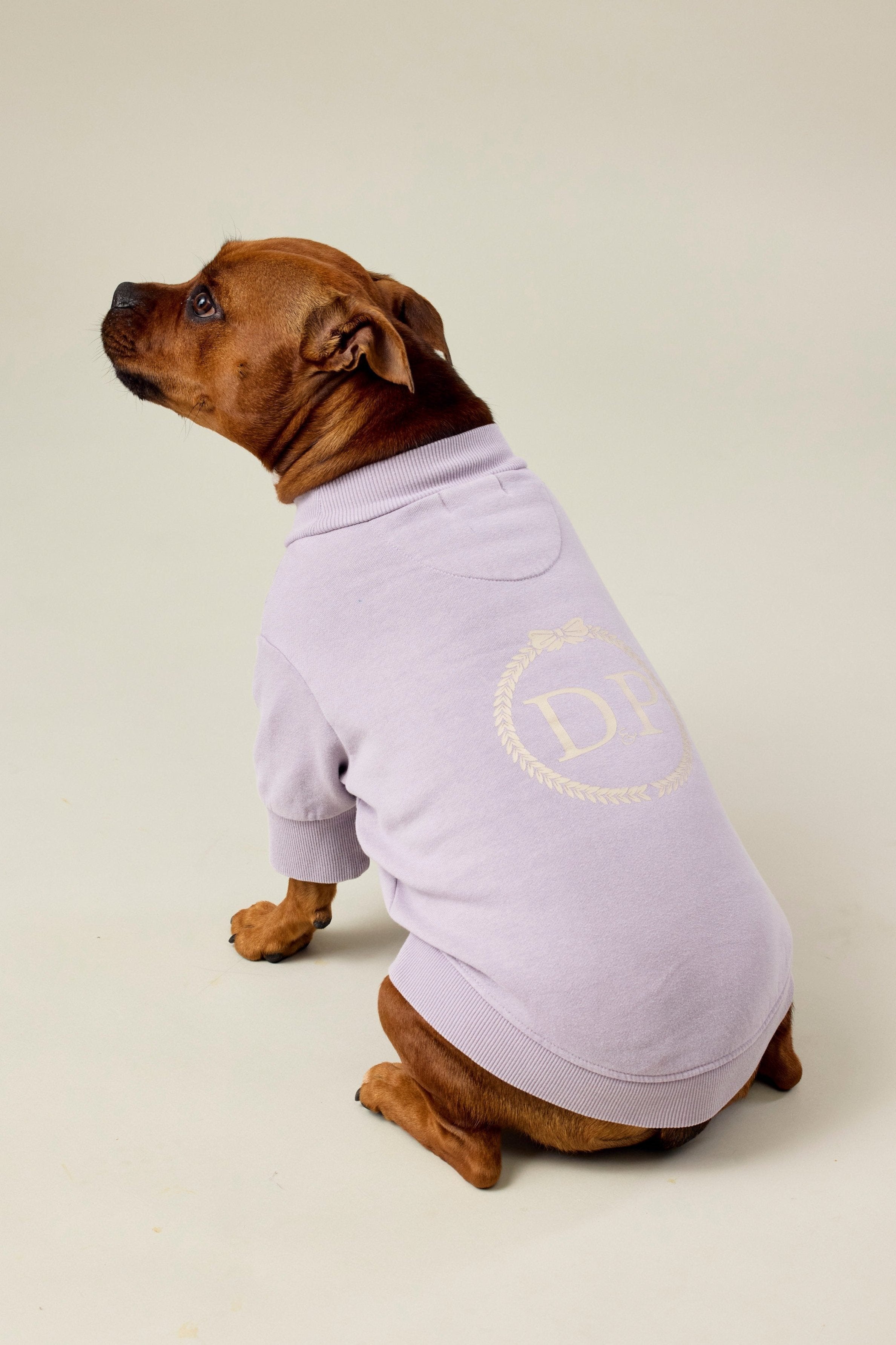 BFF Dog Sweatshirt - Lilac