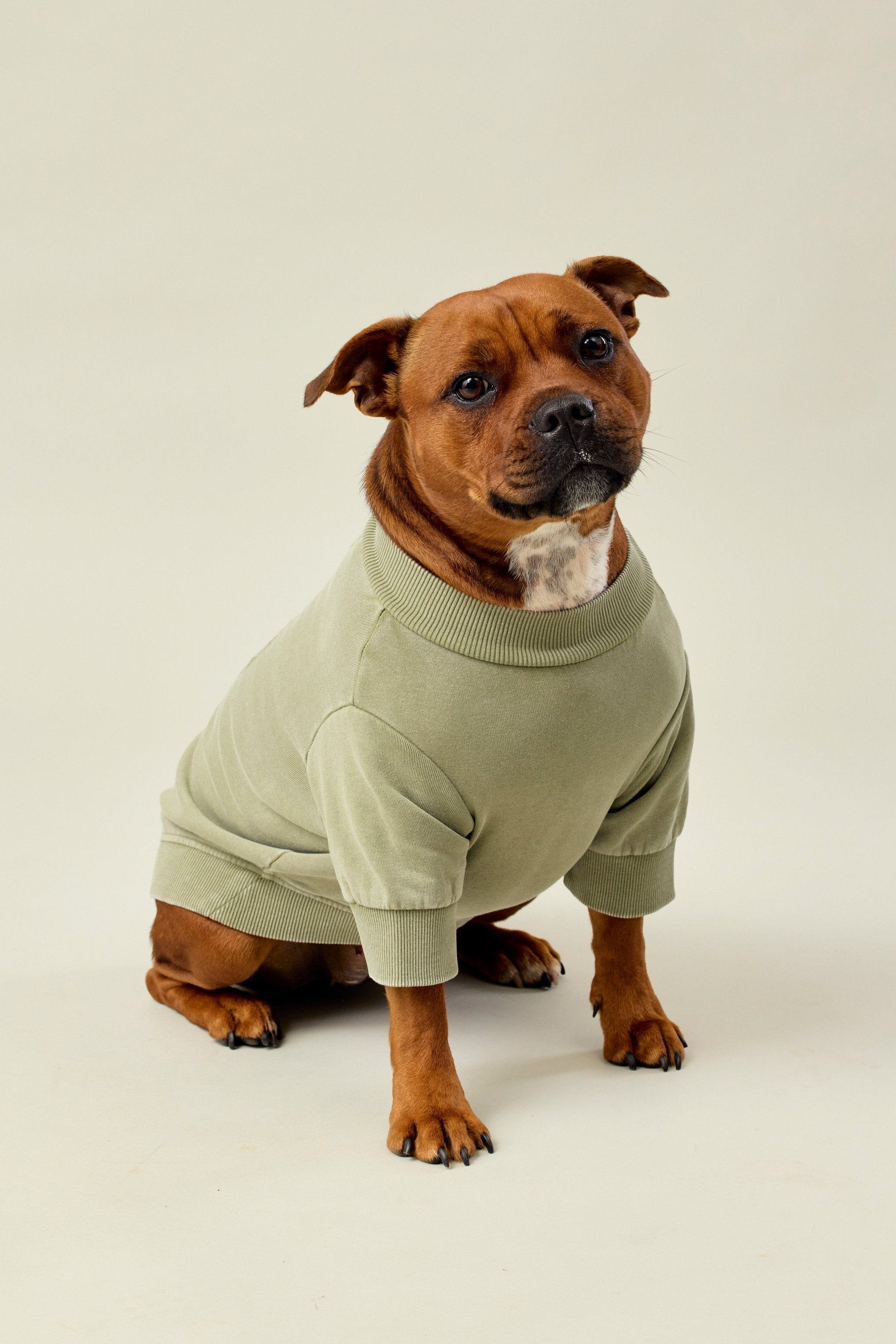 BFF Dog Sweatshirt - Olive