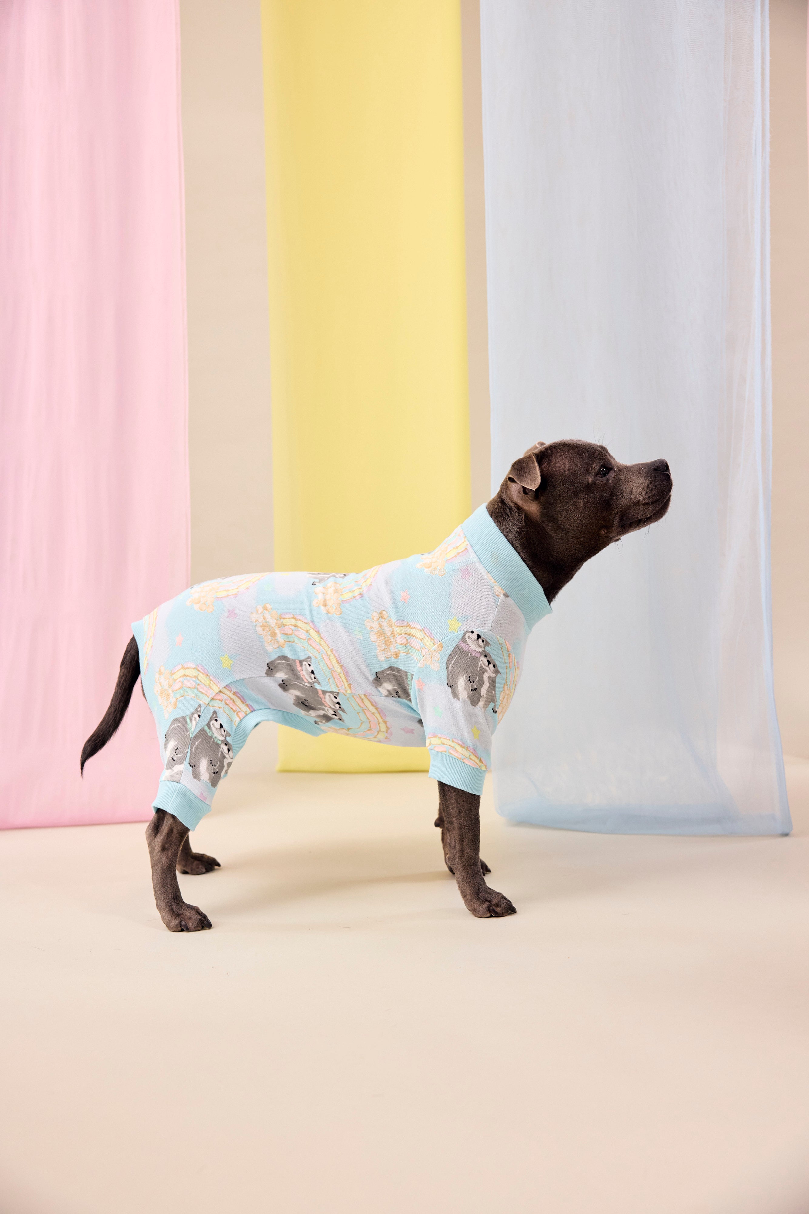 Sweet Rainbow Dreams Dog Onesie