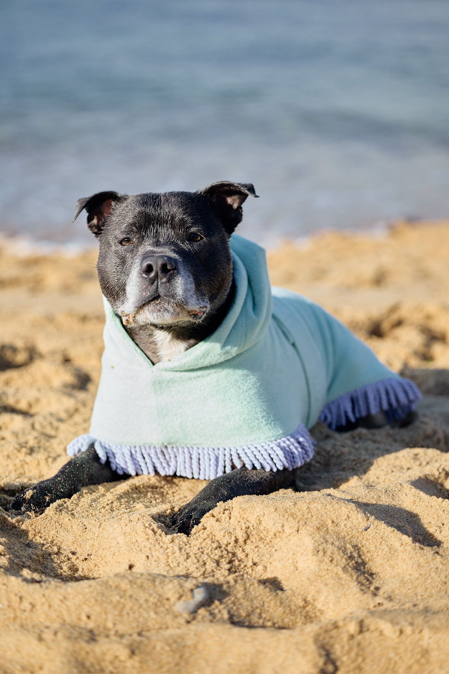 Tassel Towel Snuggle Buddy Dog Robe | Minty Green