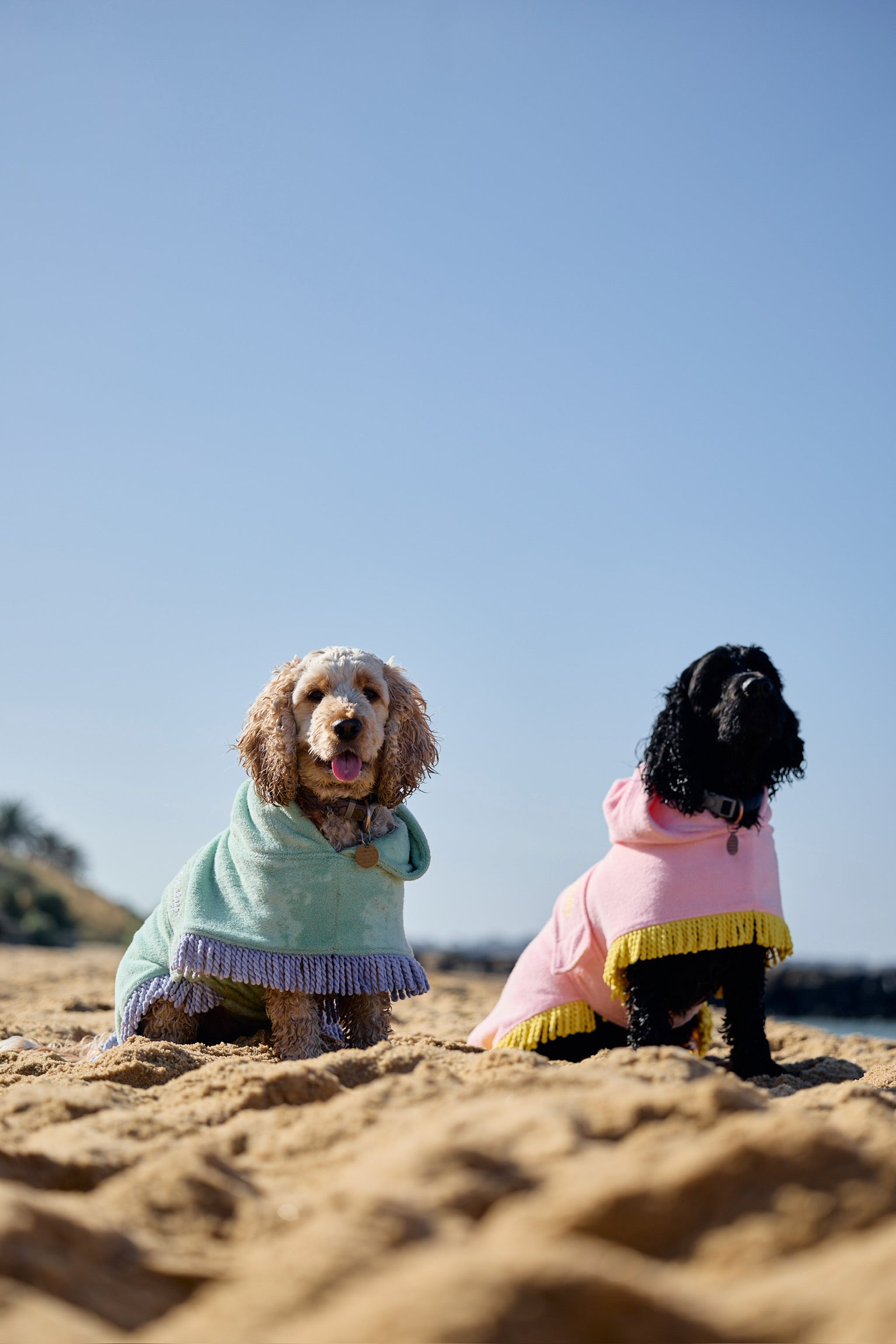 Tassel Towel Snuggle Buddy Dog Robe | Minty Green