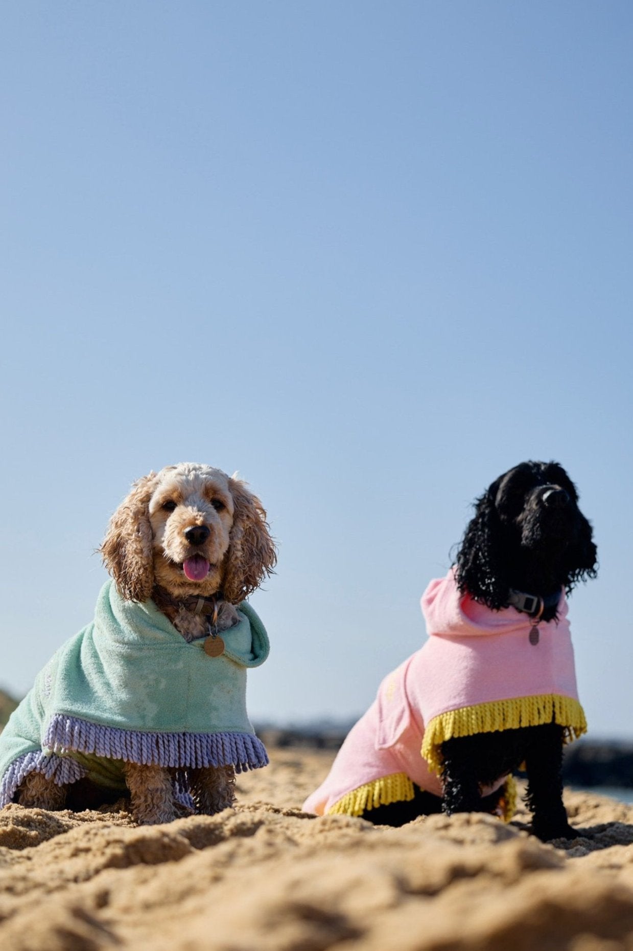 Tassel Towel Dog Robe | Minty Green
