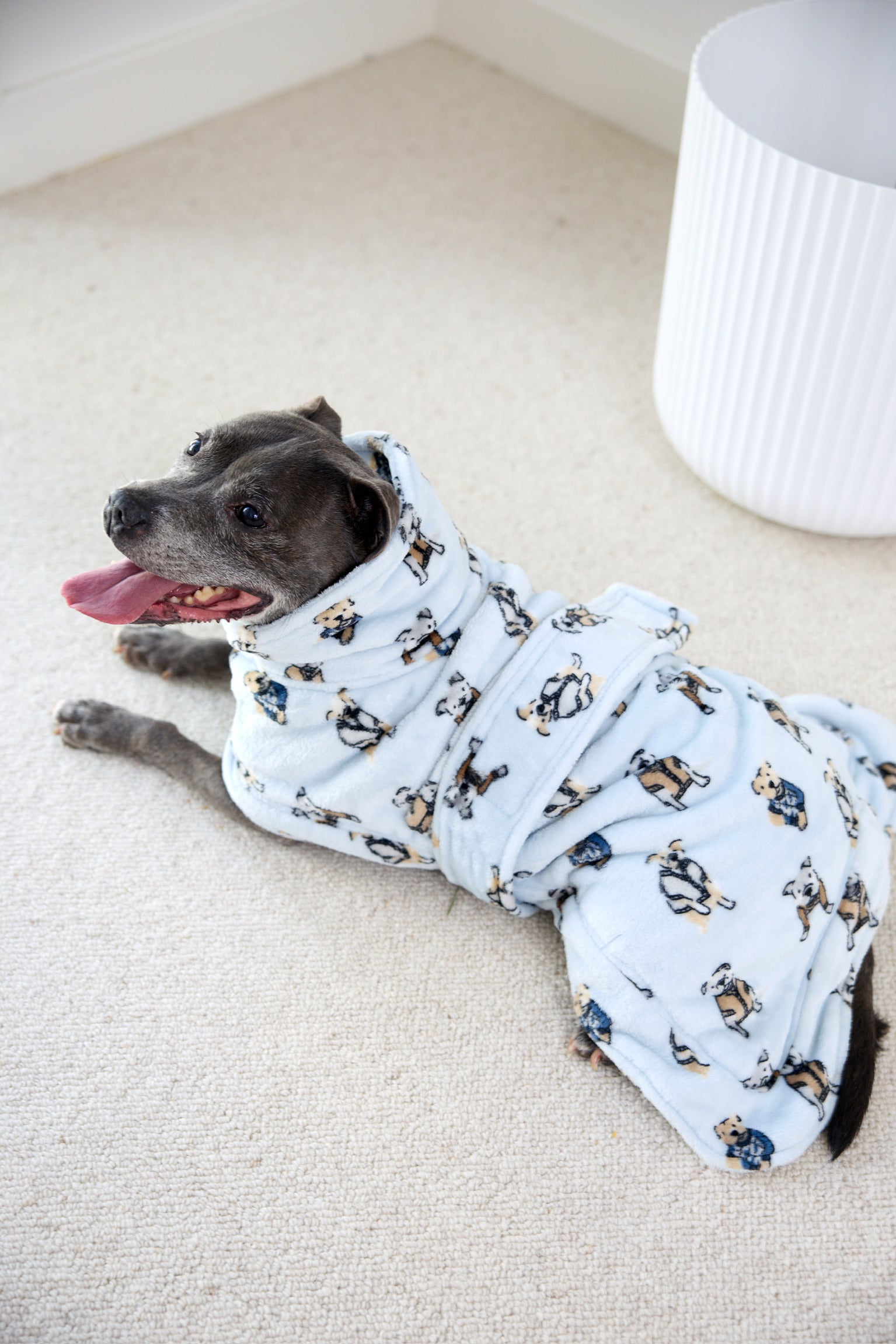 Preppy Pups Snuggle Buddy Dog Robe