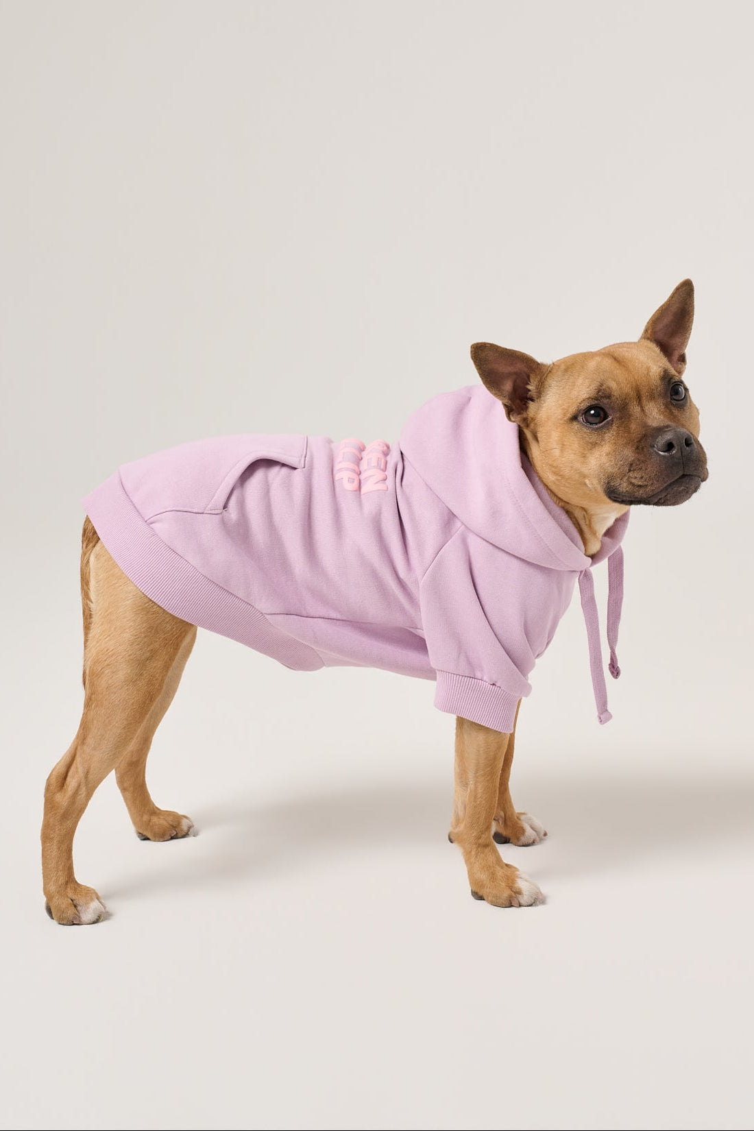 Puff Print Dog Hoodie | Lilac
