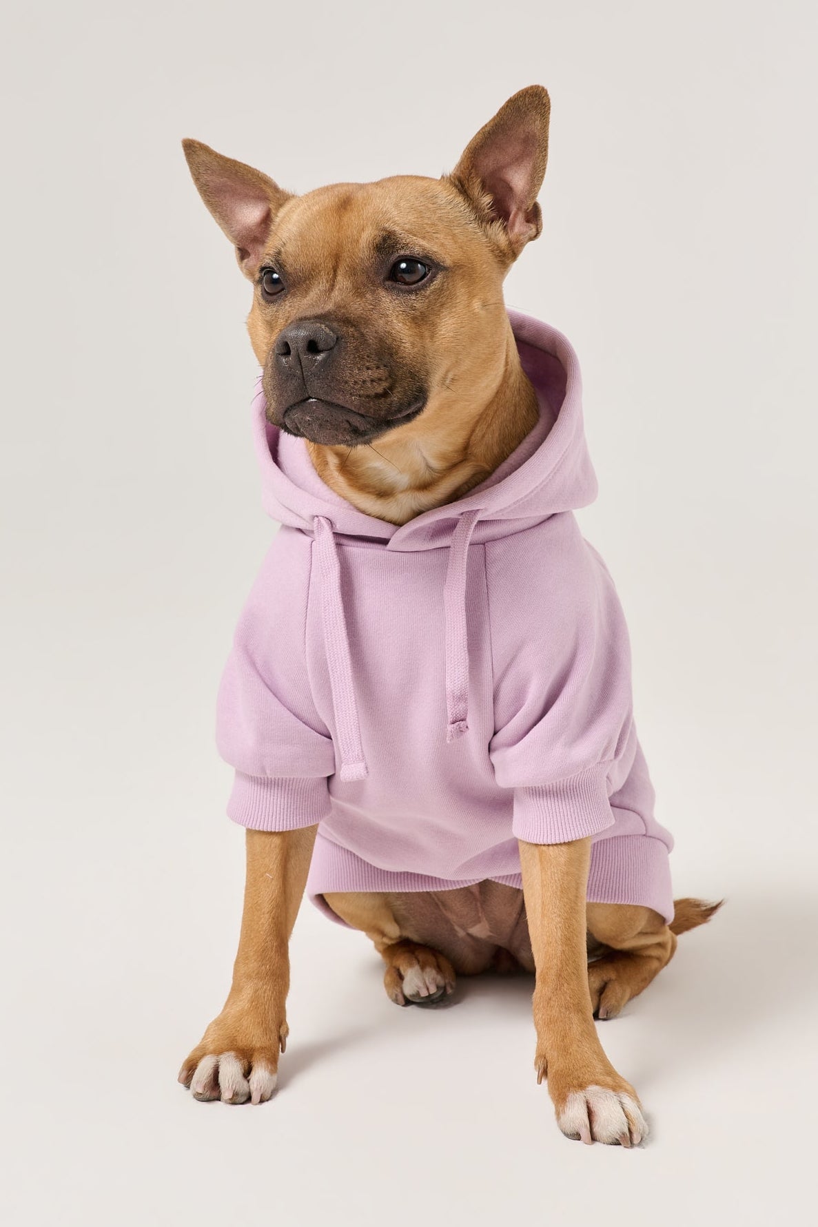Puff Print Dog Hoodie | Lilac