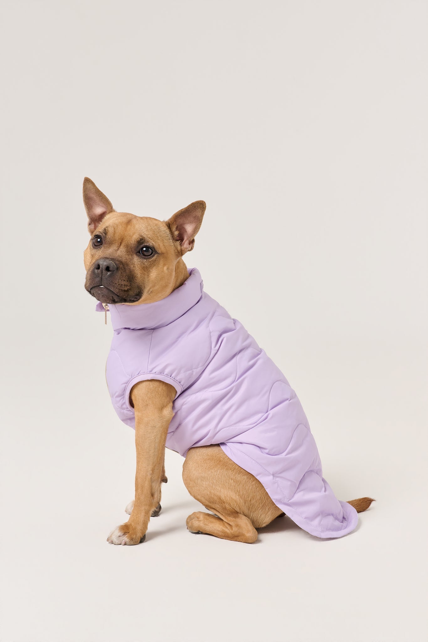 Cloud Dog Puffer Vest | Lilac