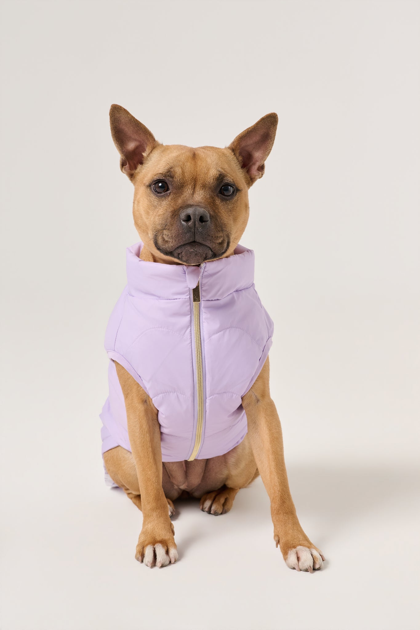Cloud Dog Puffer Vest | Lilac