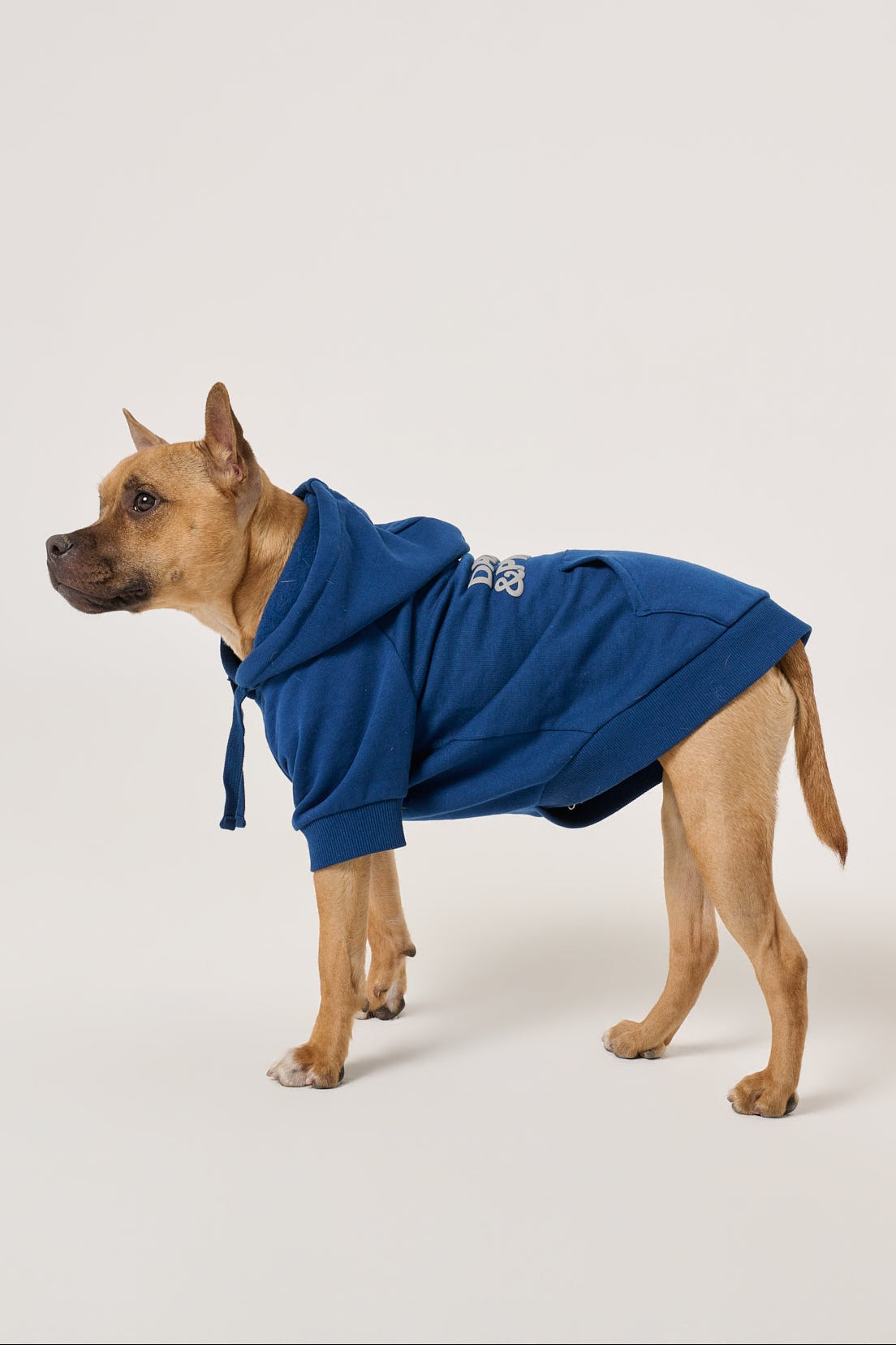 Puff Print Dog Hoodie | Marine