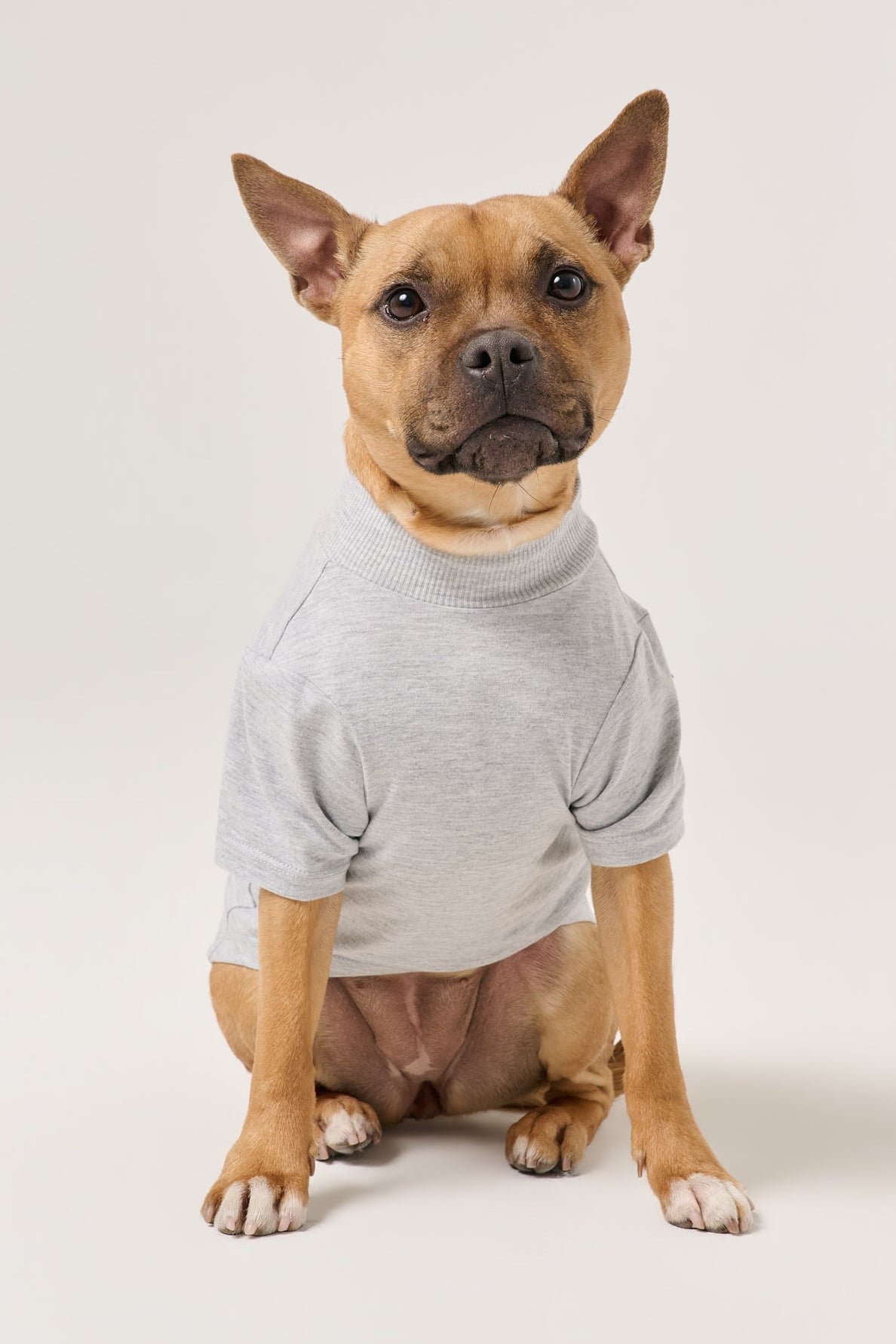 Less People More Dogs Dog Tee | Heather Gray