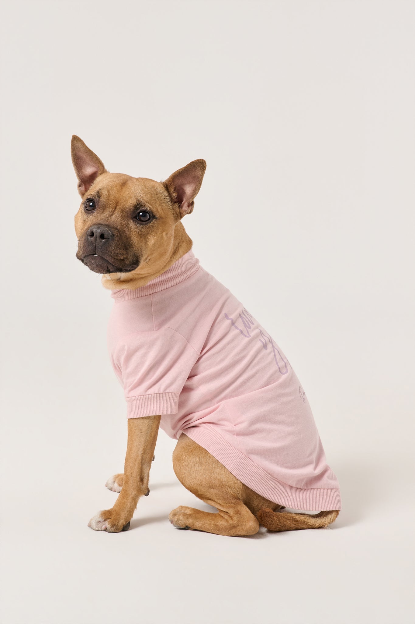 Love You More Dog Tee | Pink