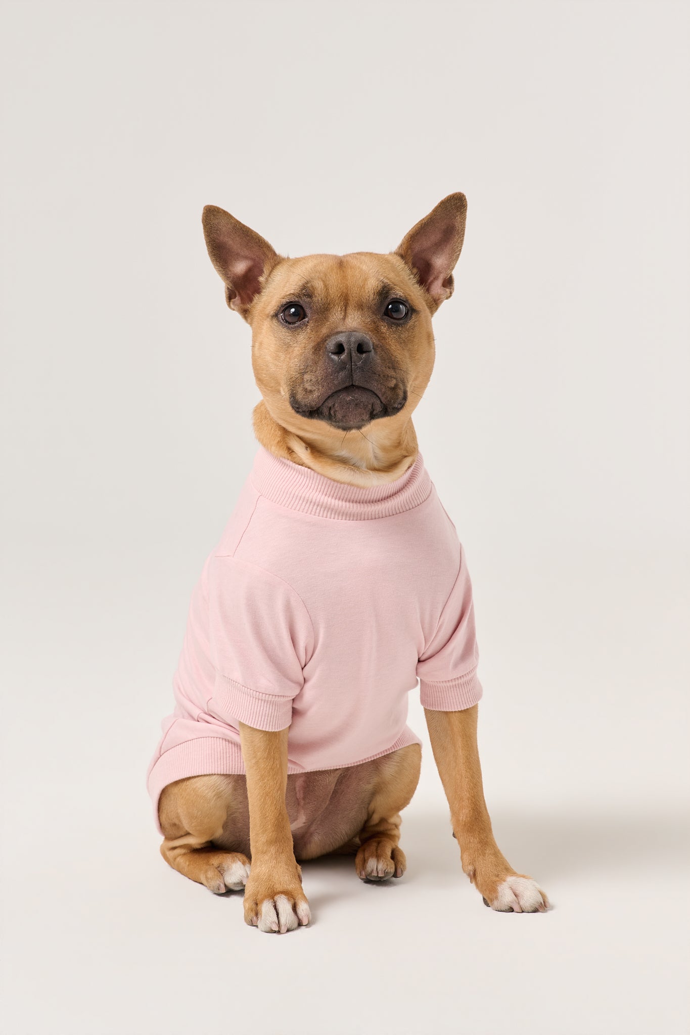 Love You More Dog Tee | Pink