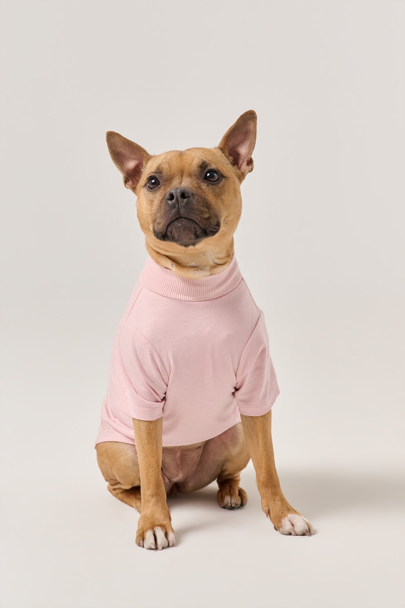 Less People More Dogs Dog Tee | Pink