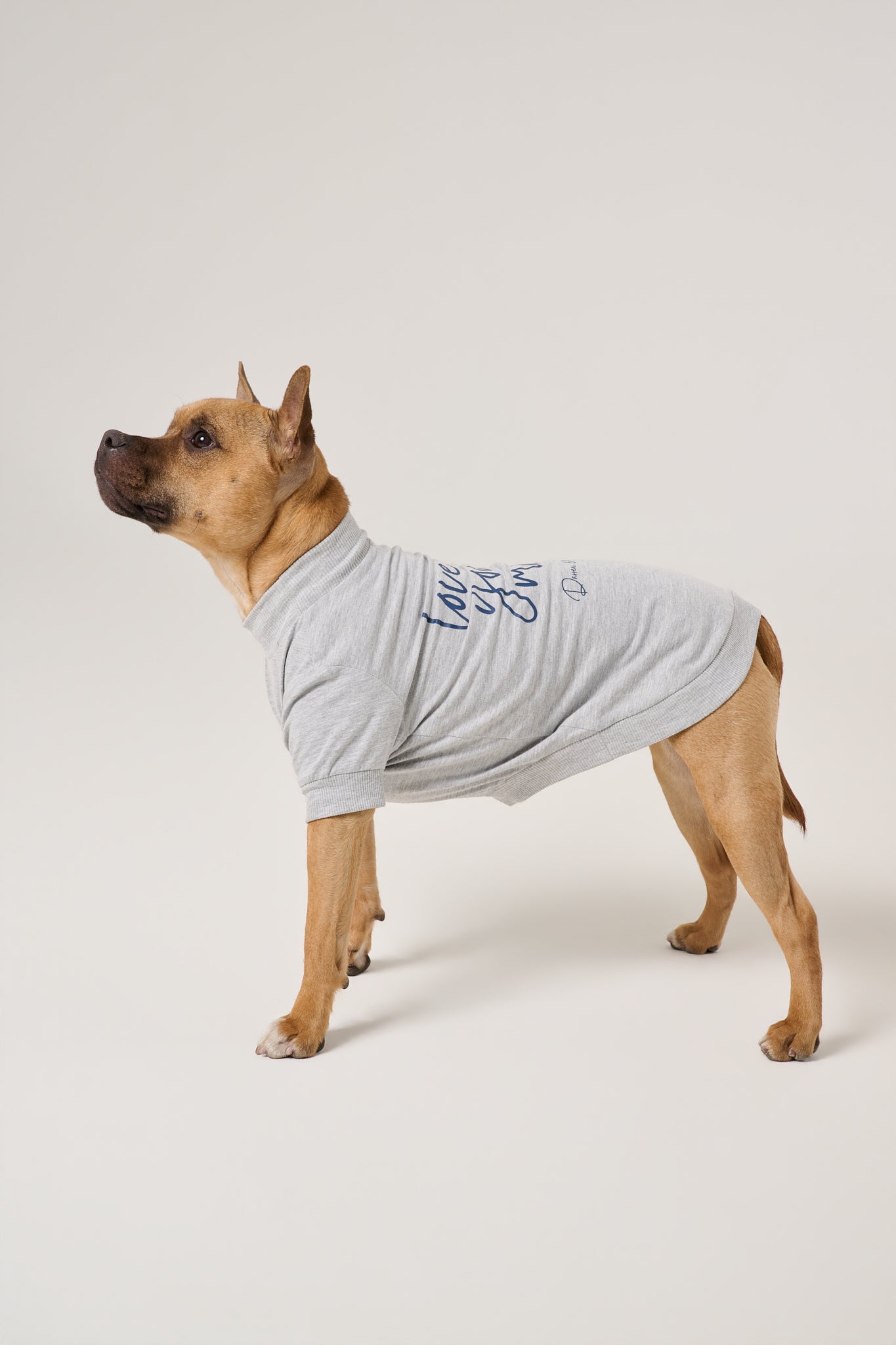 Love You More Dog Tee | Heather Gray