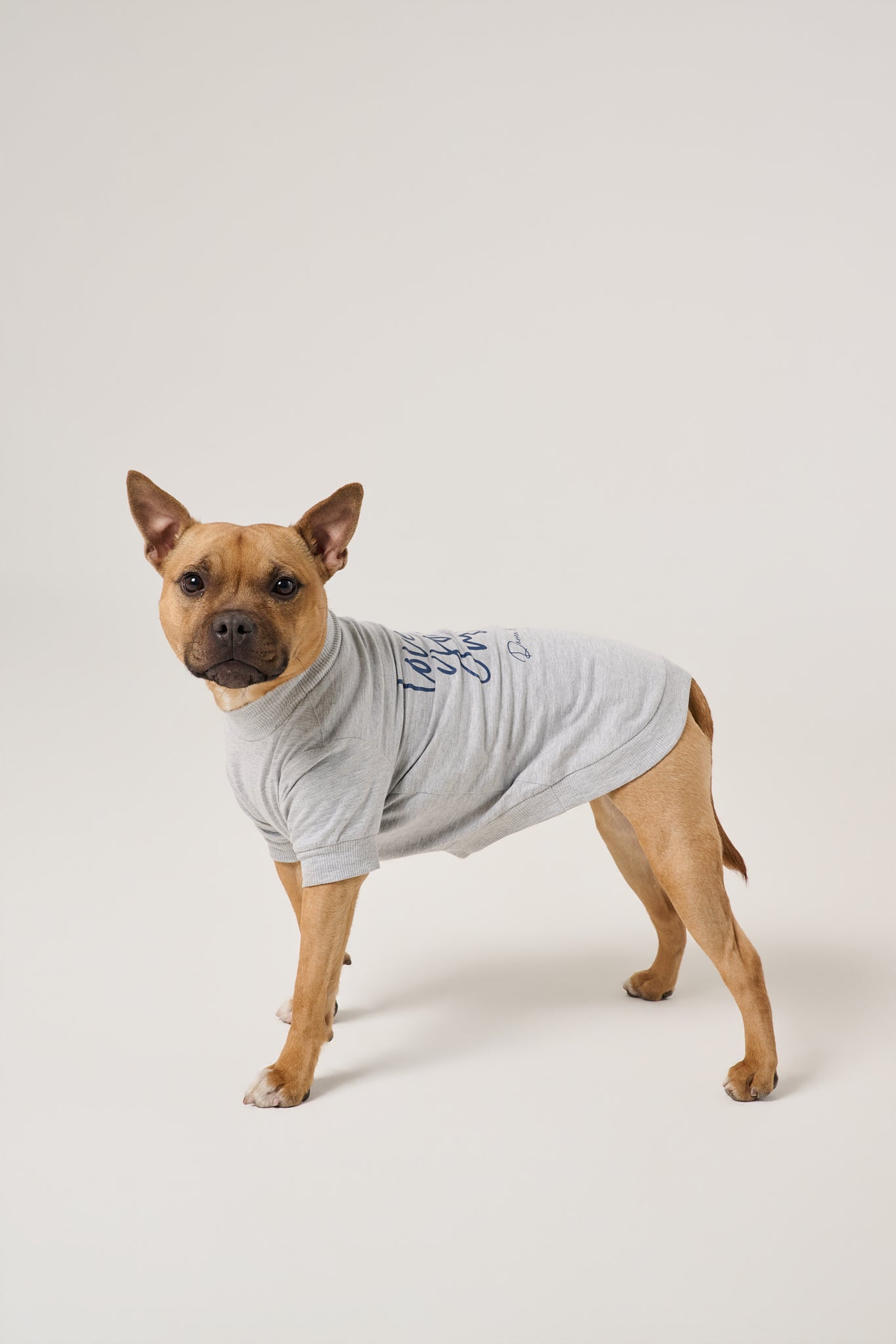 Love You More Dog Tee | Heather Gray