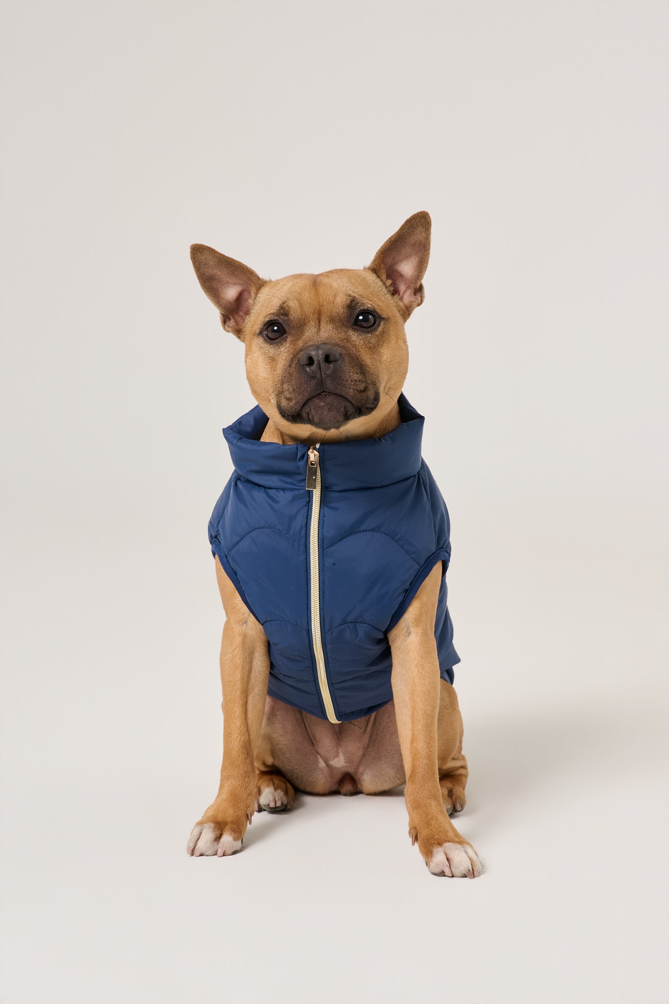 Cloud Dog Puffer Vest | Marine