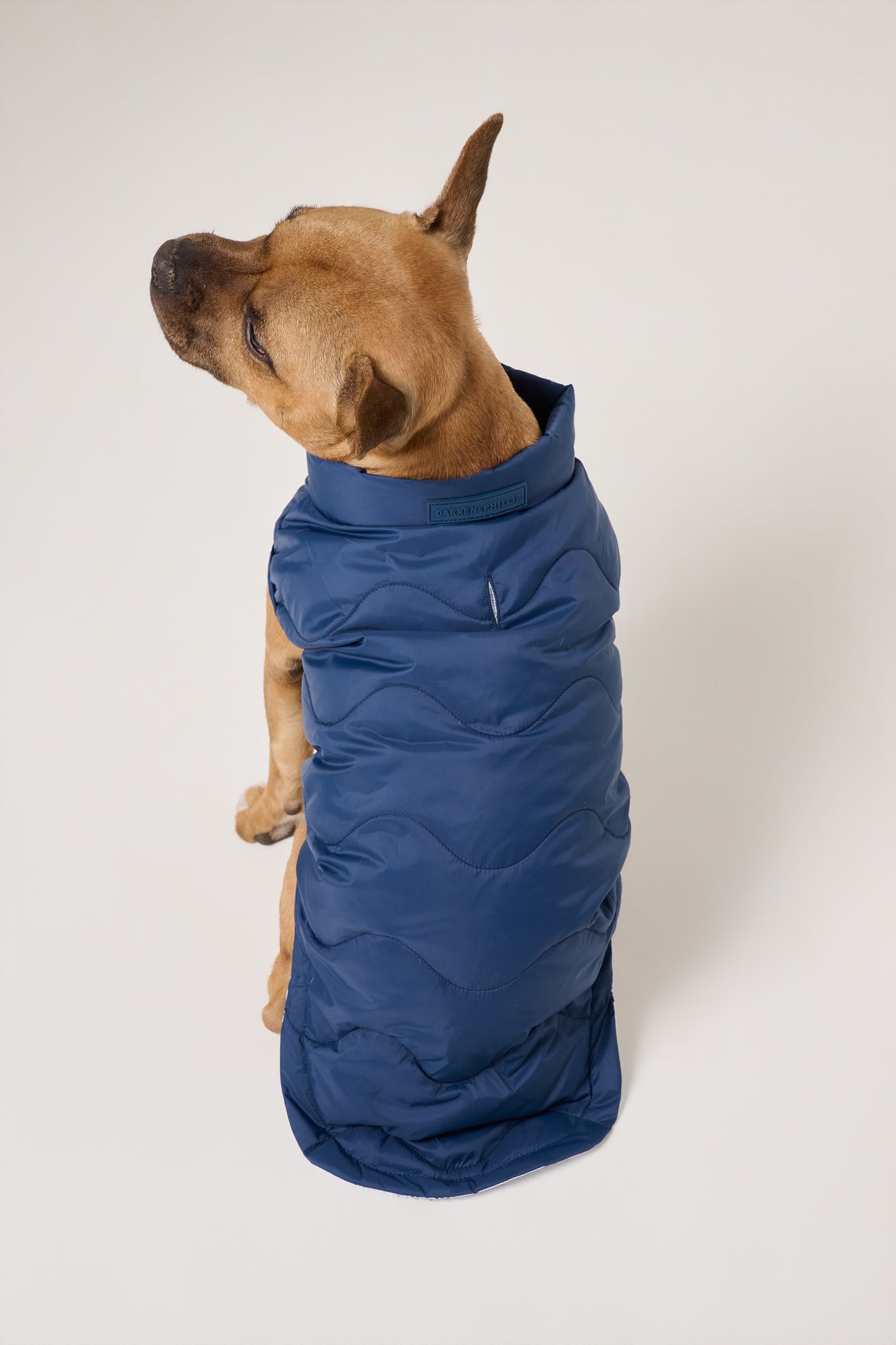 Cloud Dog Puffer Vest | Marine