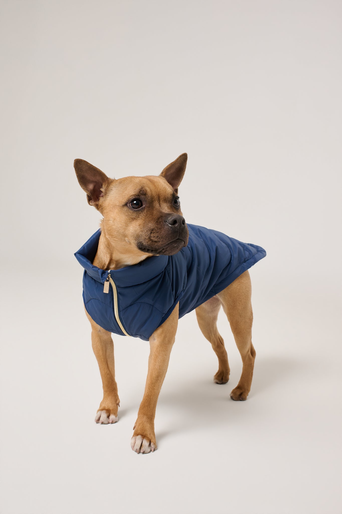 Cloud Dog Puffer Vest | Marine