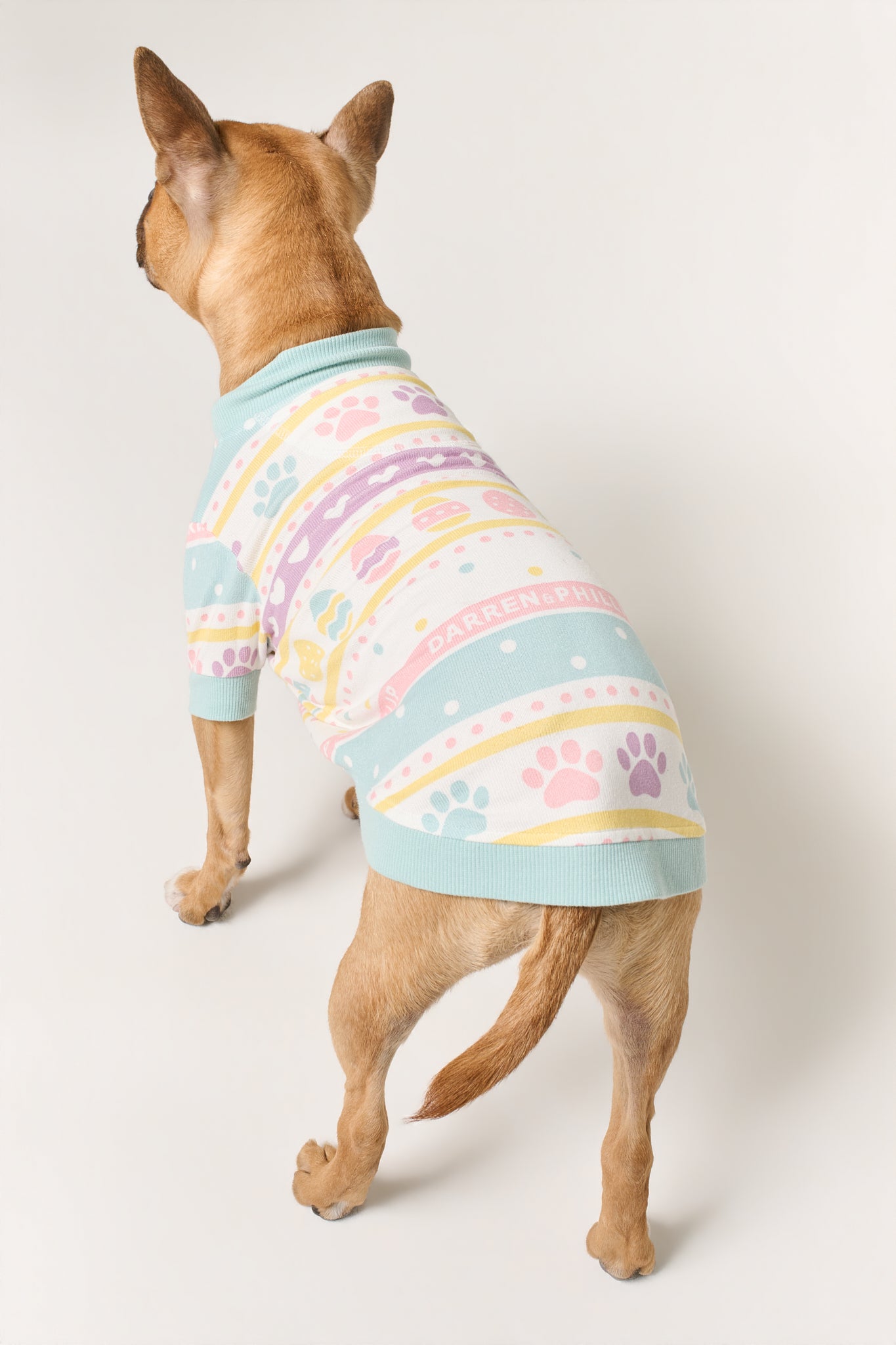 Dog Tee | Feelin' Eggstra