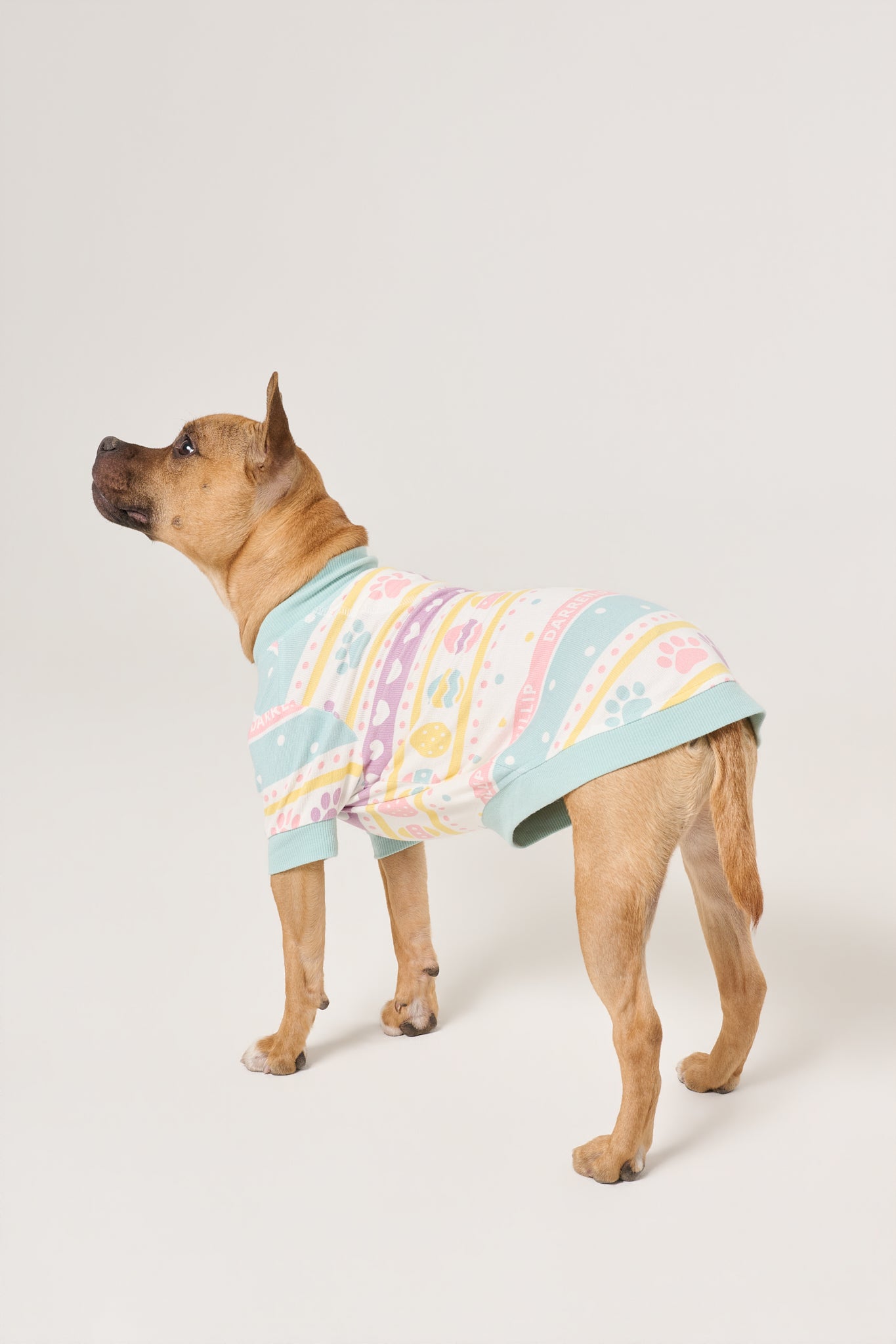 Dog Tee | Feelin' Eggstra