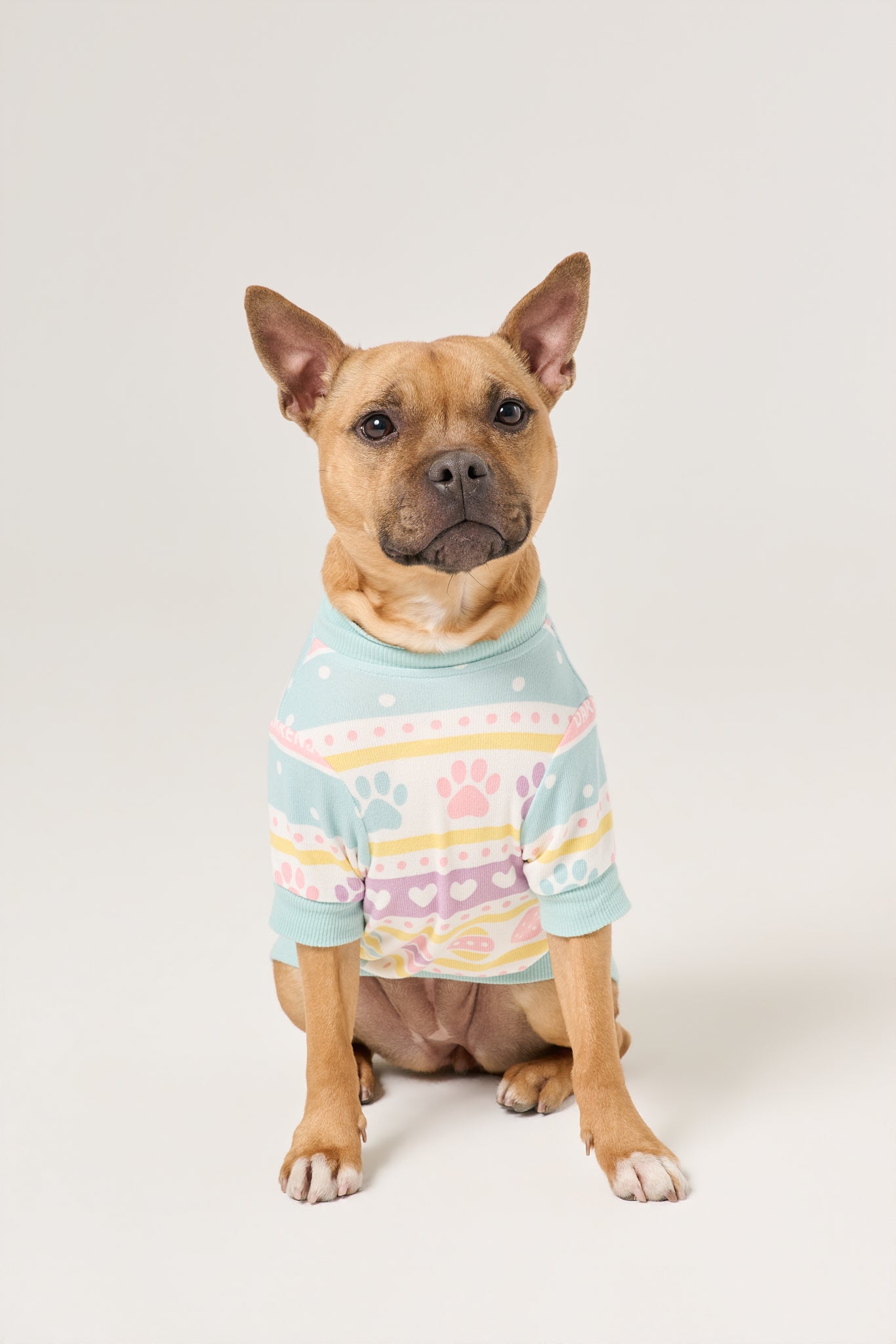 Dog Tee | Feelin' Eggstra