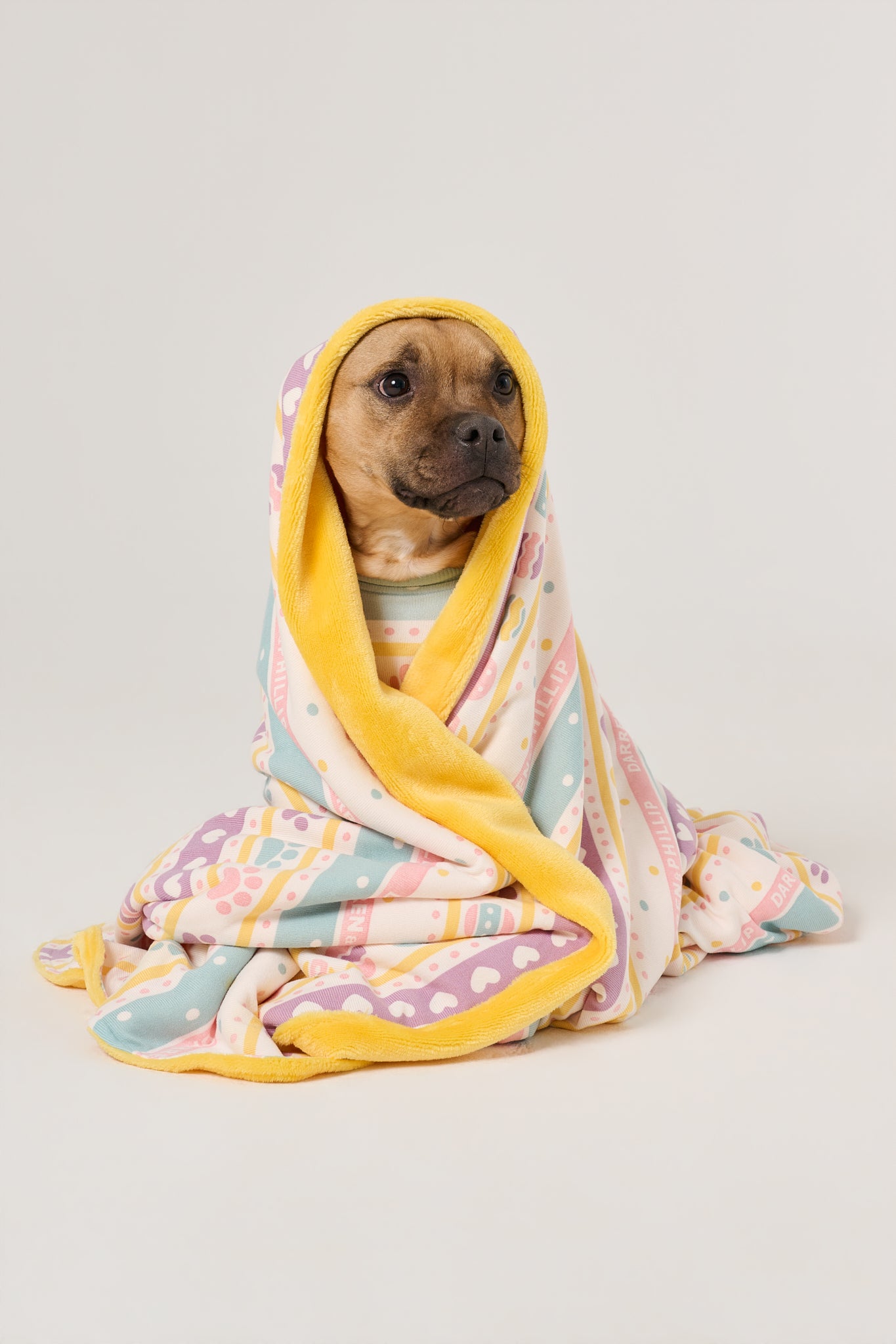 Dog Blanket | Feelin' Eggstra