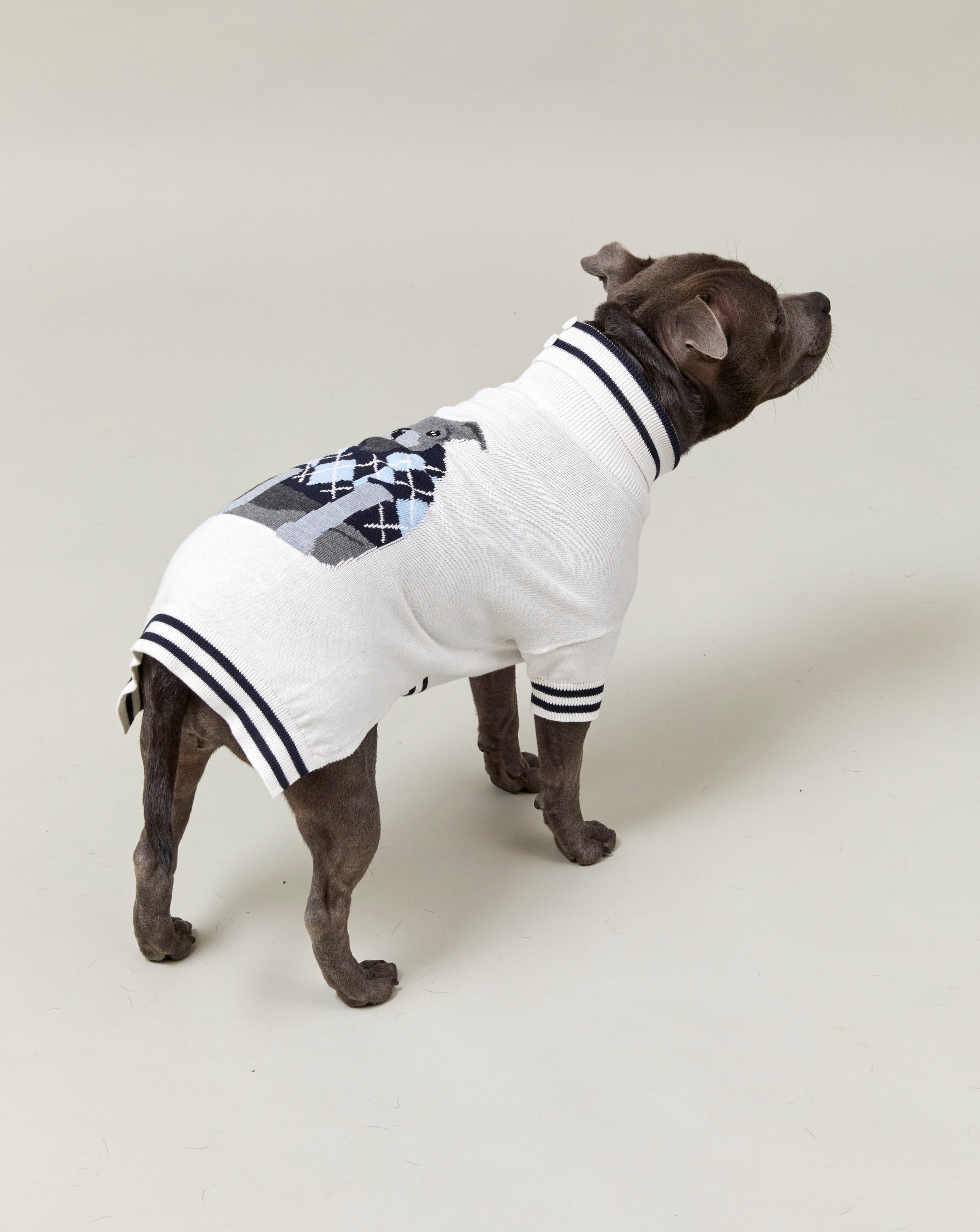 Back view of the Darren and Phillip Intarsia knit dog jumper.