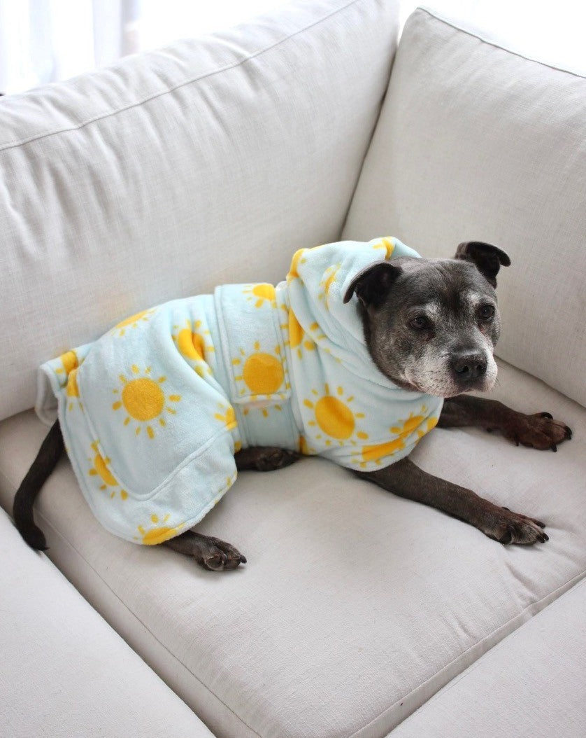 Darren and Phillip printed dog robe.