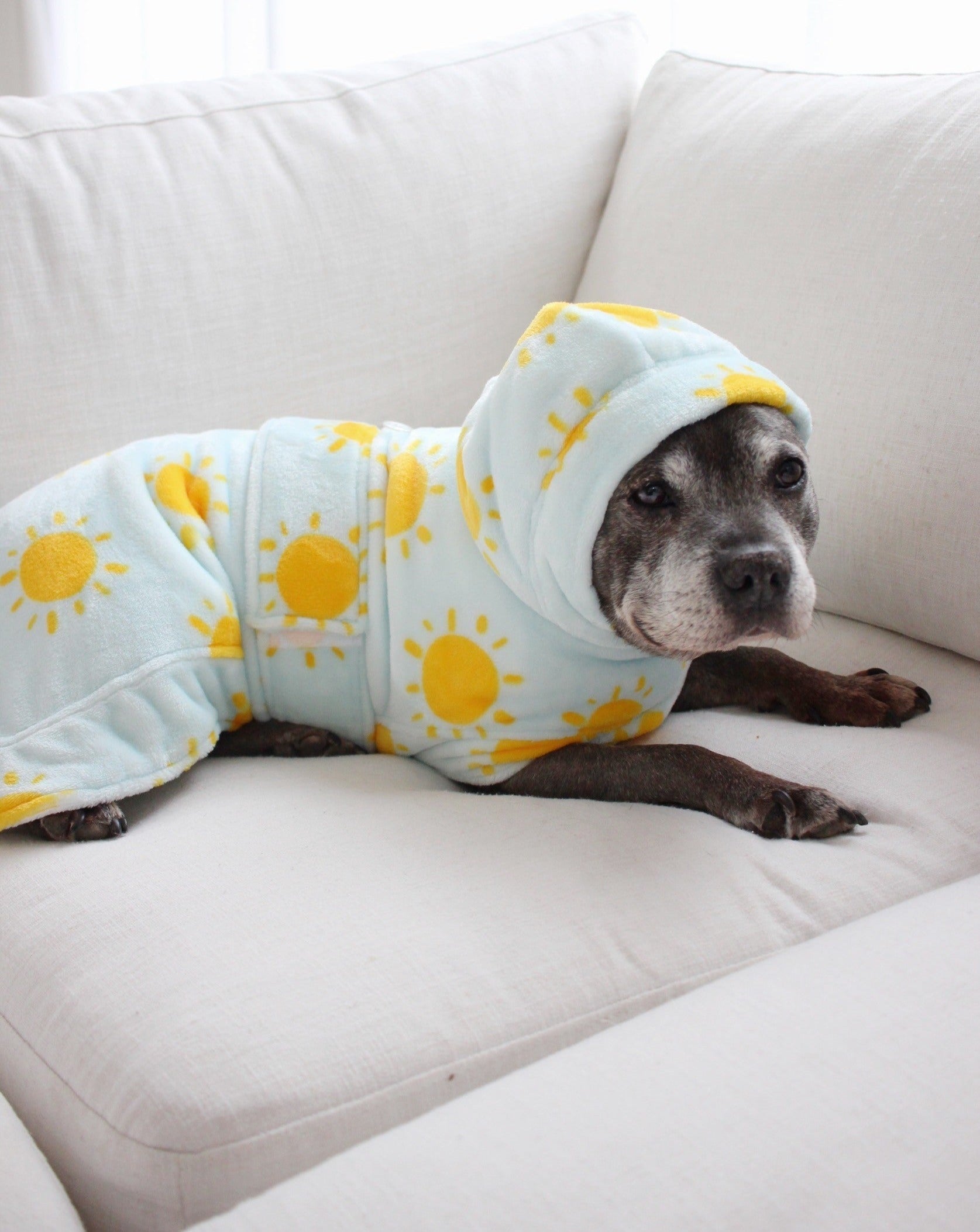 Darren and Phillip calming dog robe.