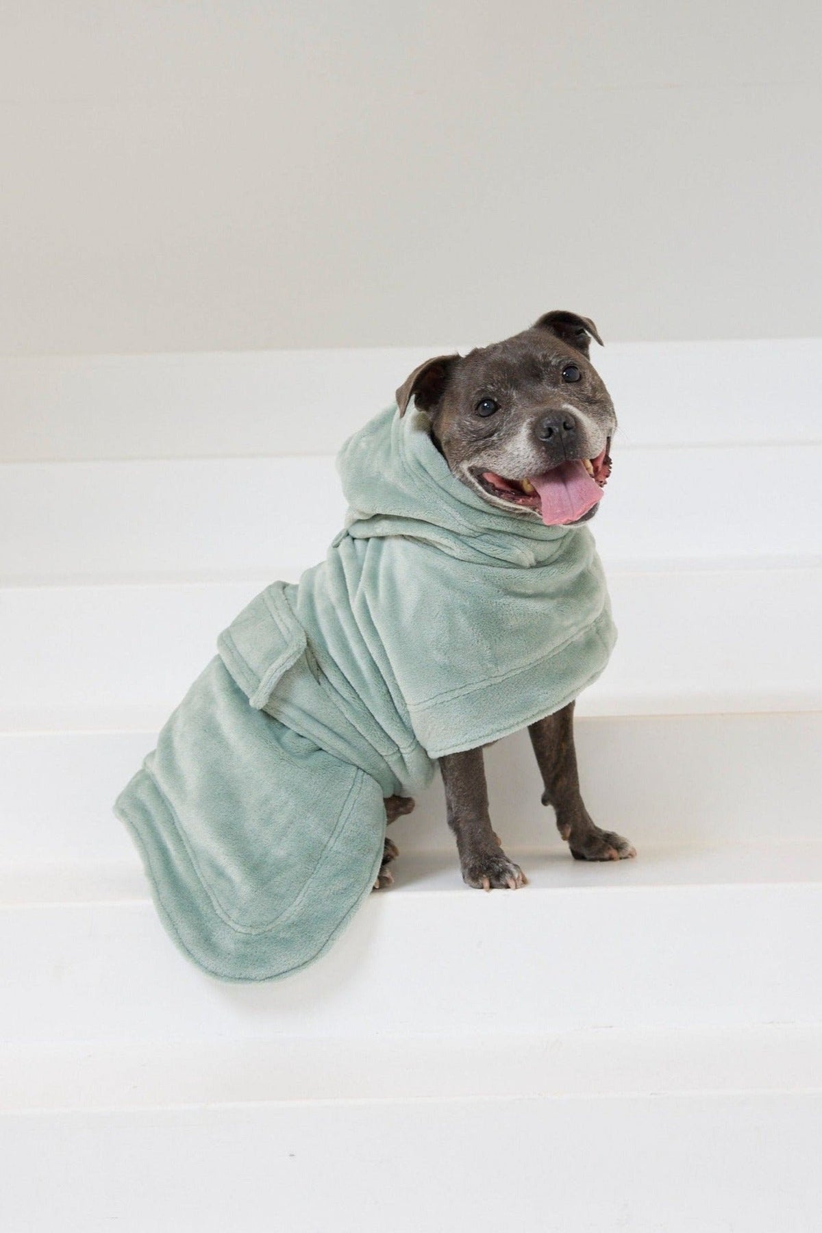 Dog In A Robe The Dream Calming Dog Robe | Darren & Phillip