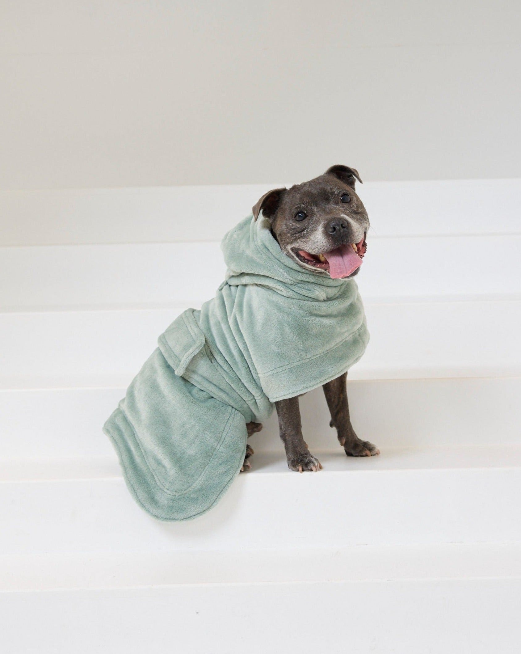 Match Your Dog - Robe Bundle | Sage