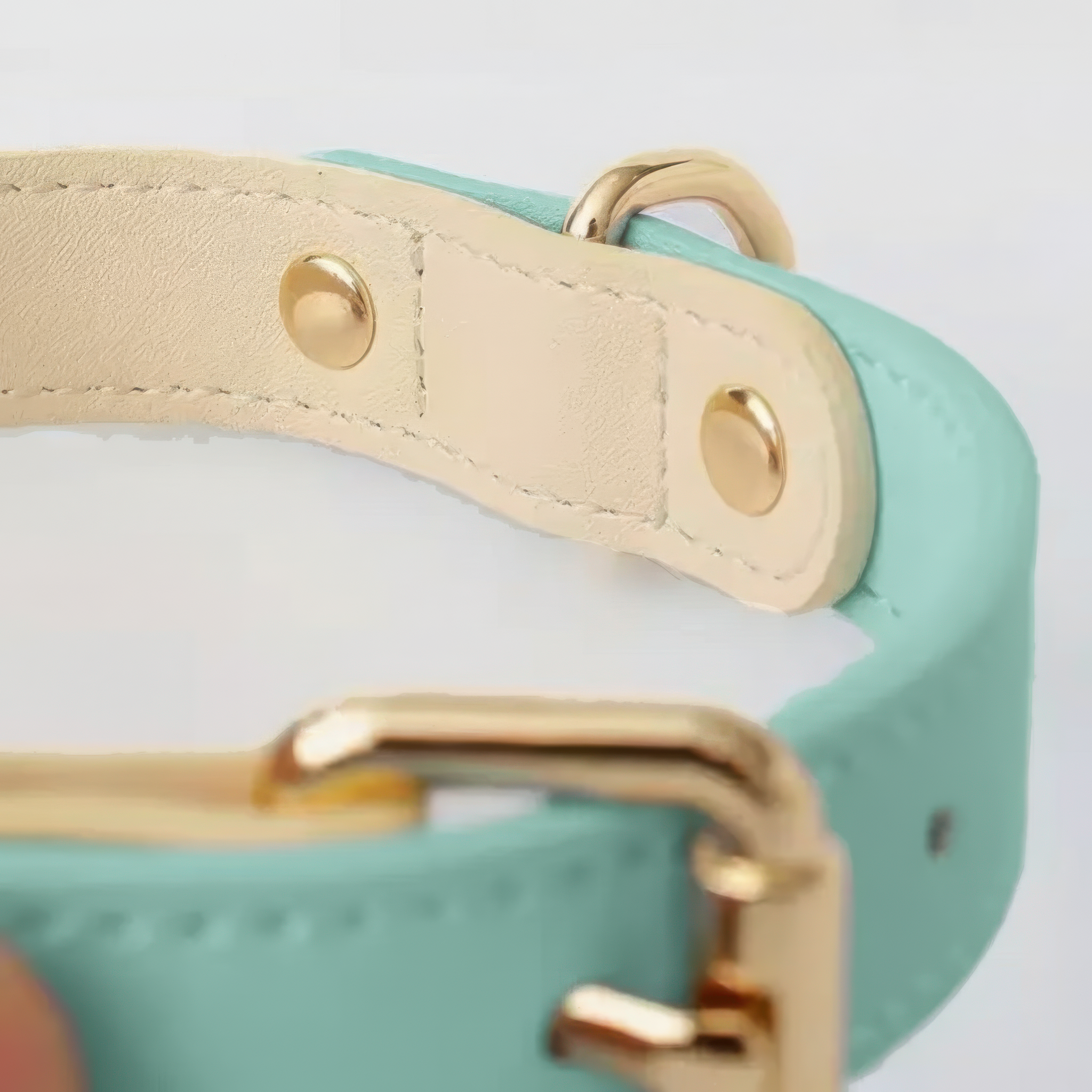 Capri Leather Collar & Leash Set - Mint
