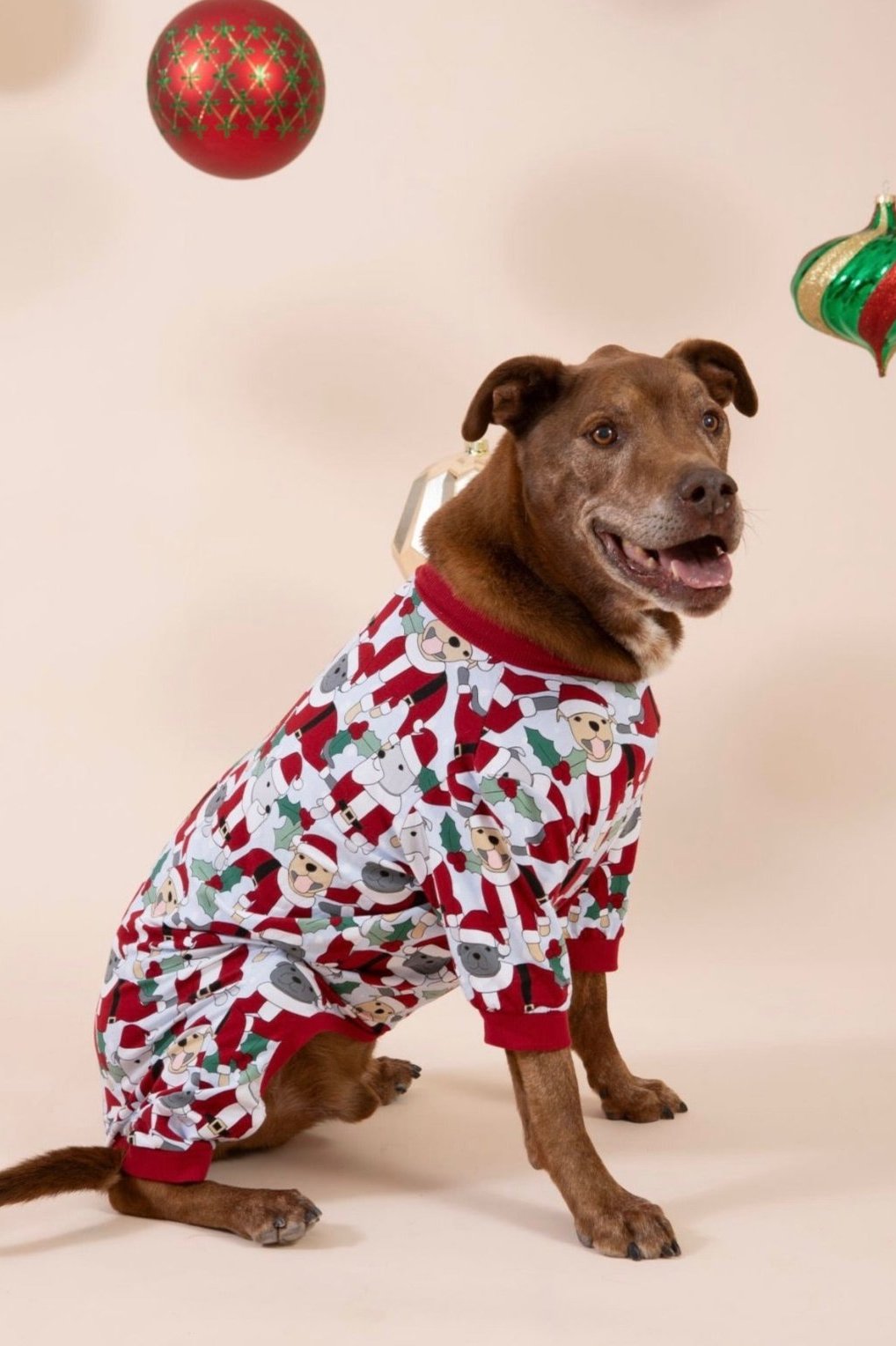 Santa Paws Dog Onesie