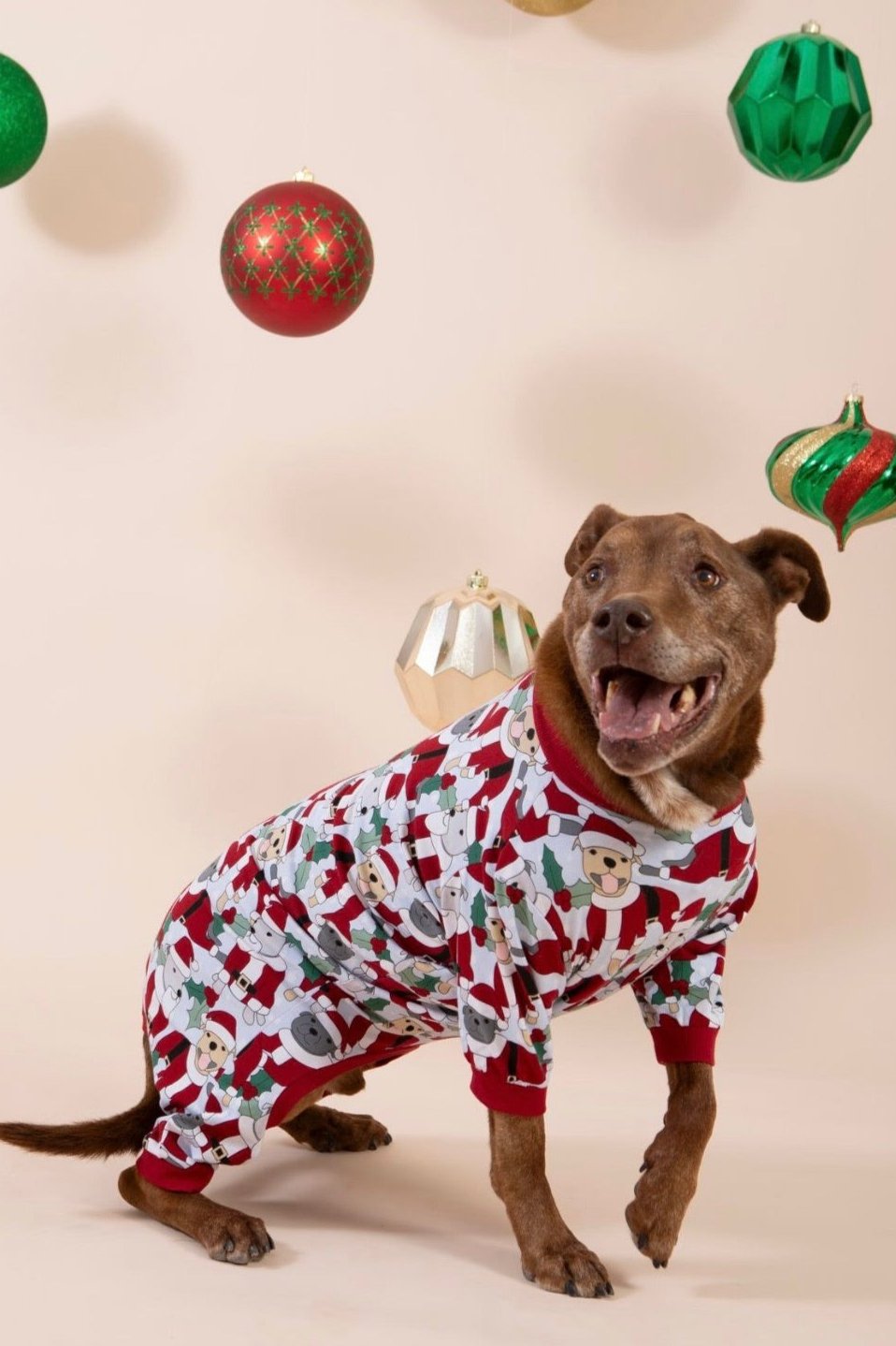 Santa Paws Dog Onesie