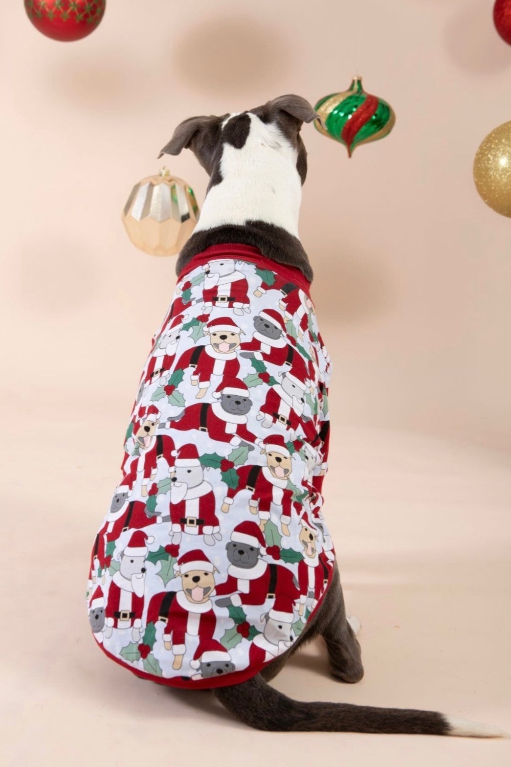 Santa Paws Dog Tee