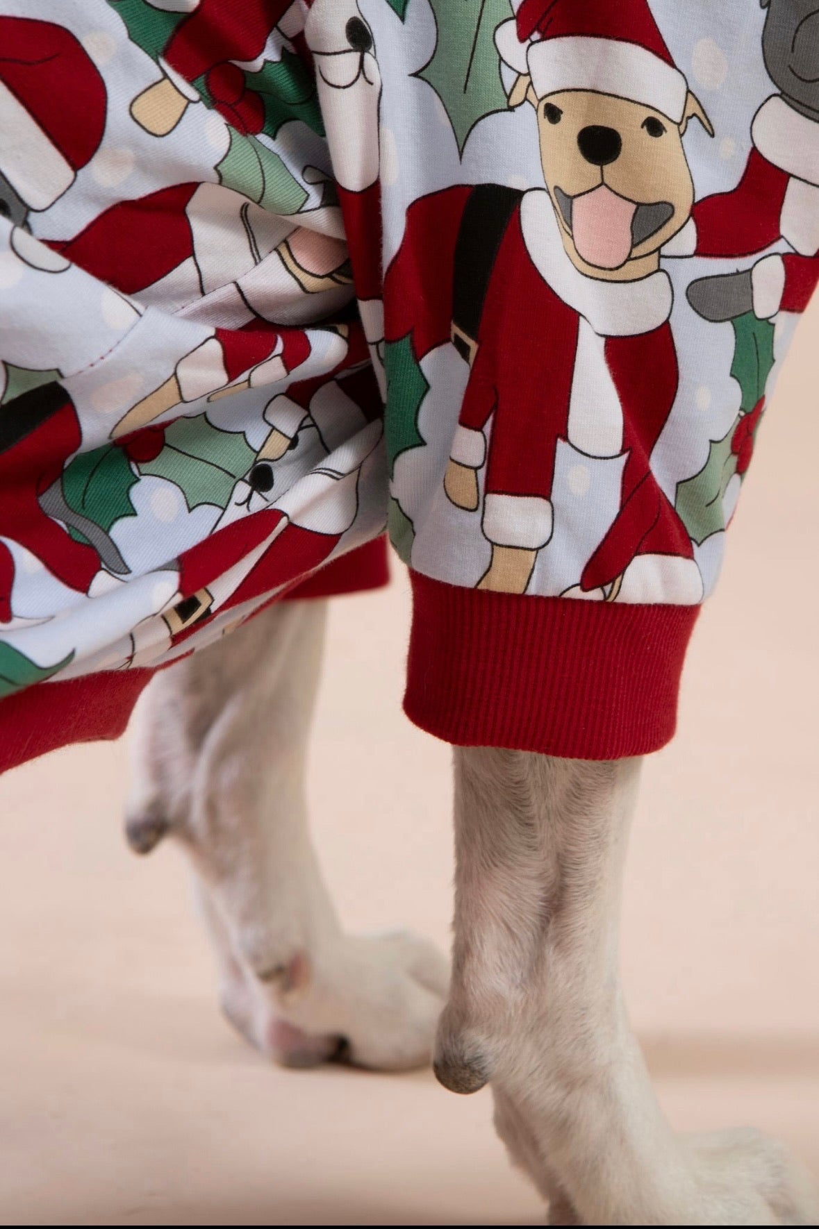 Santa Paws Dog Onesie