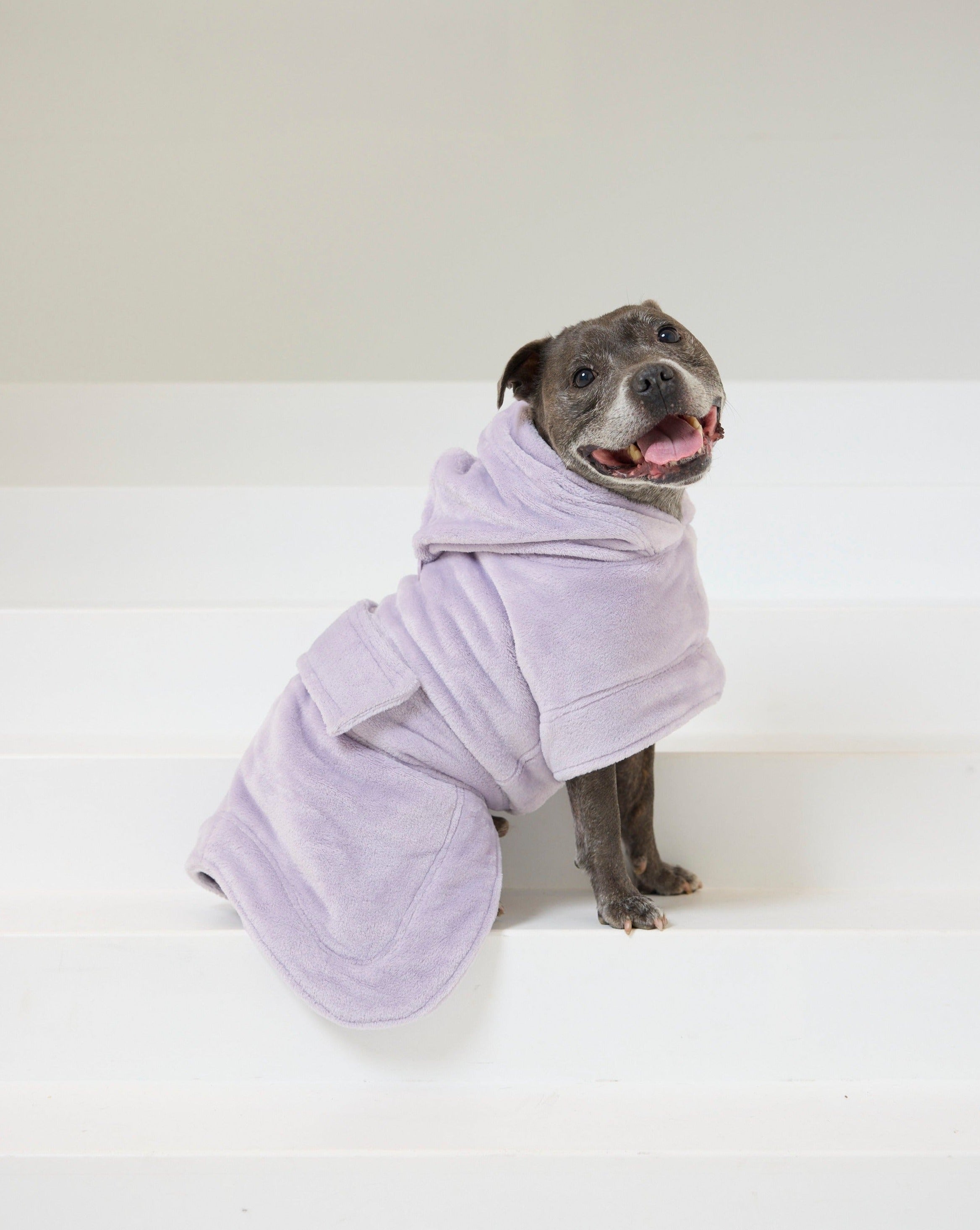 Match Your Dog - Robe Bundle | Lilac
