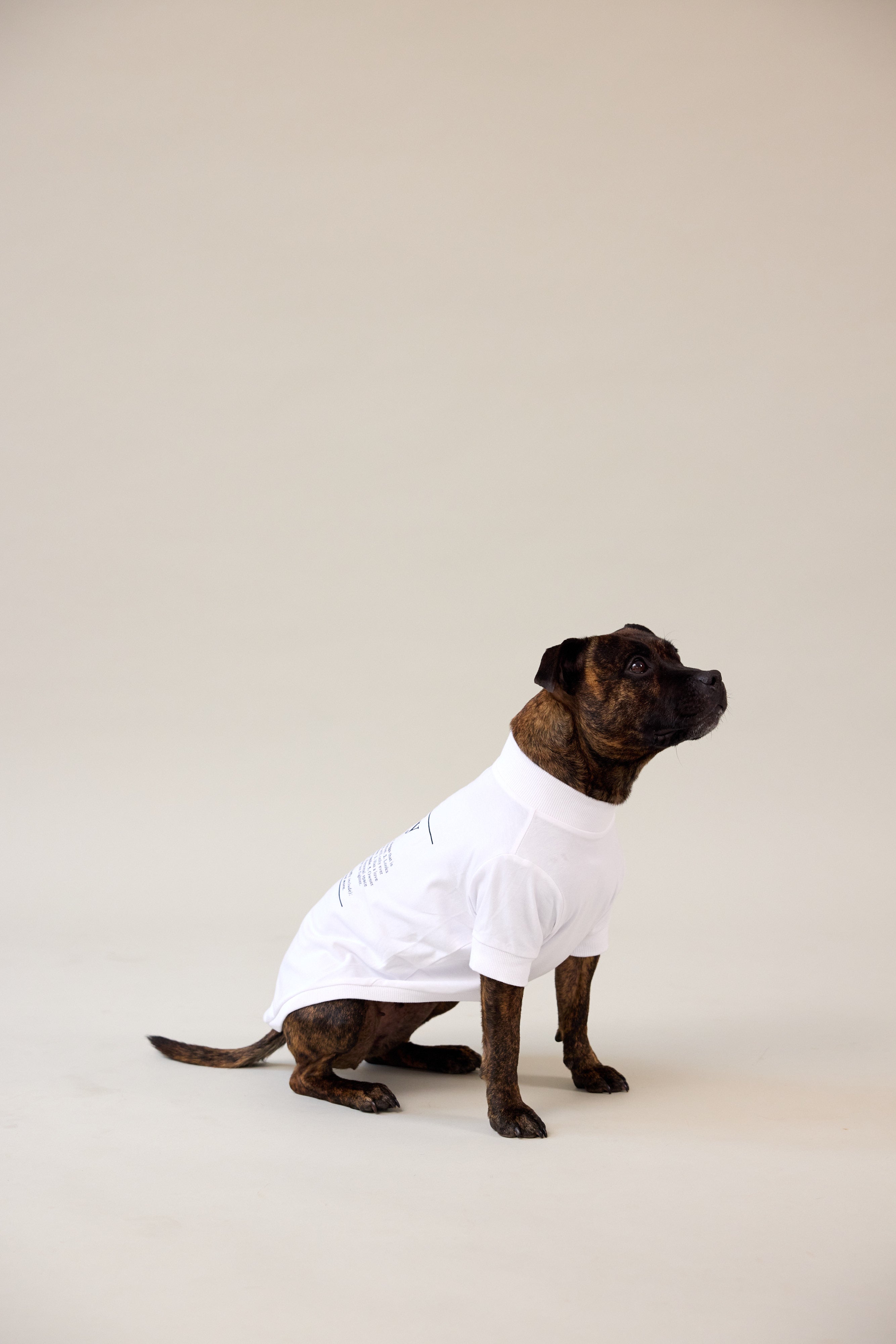 Staffy Dog Tee