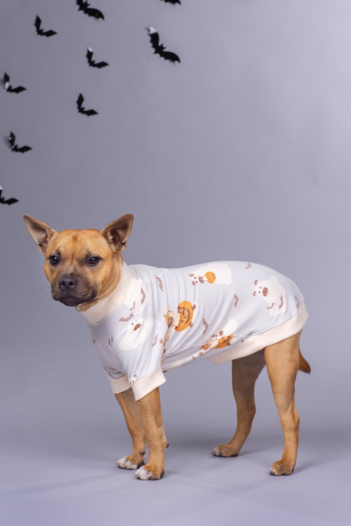 Dog Tee | Howl-O-Ween