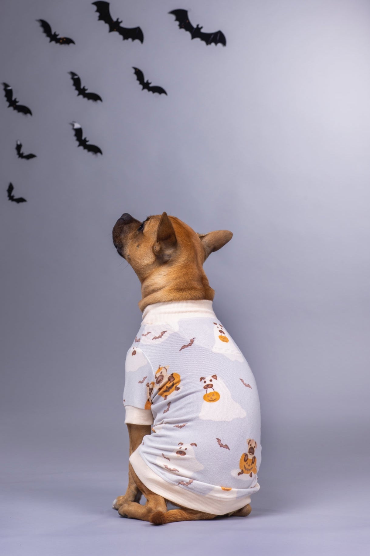 Dog Tee | Howl-O-Ween