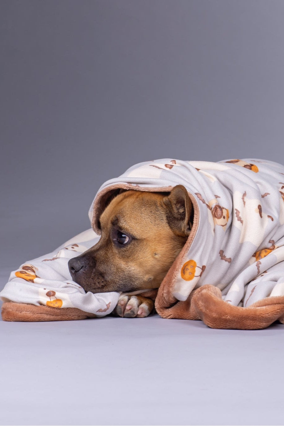 Dog Blanket | Howl-O-Ween