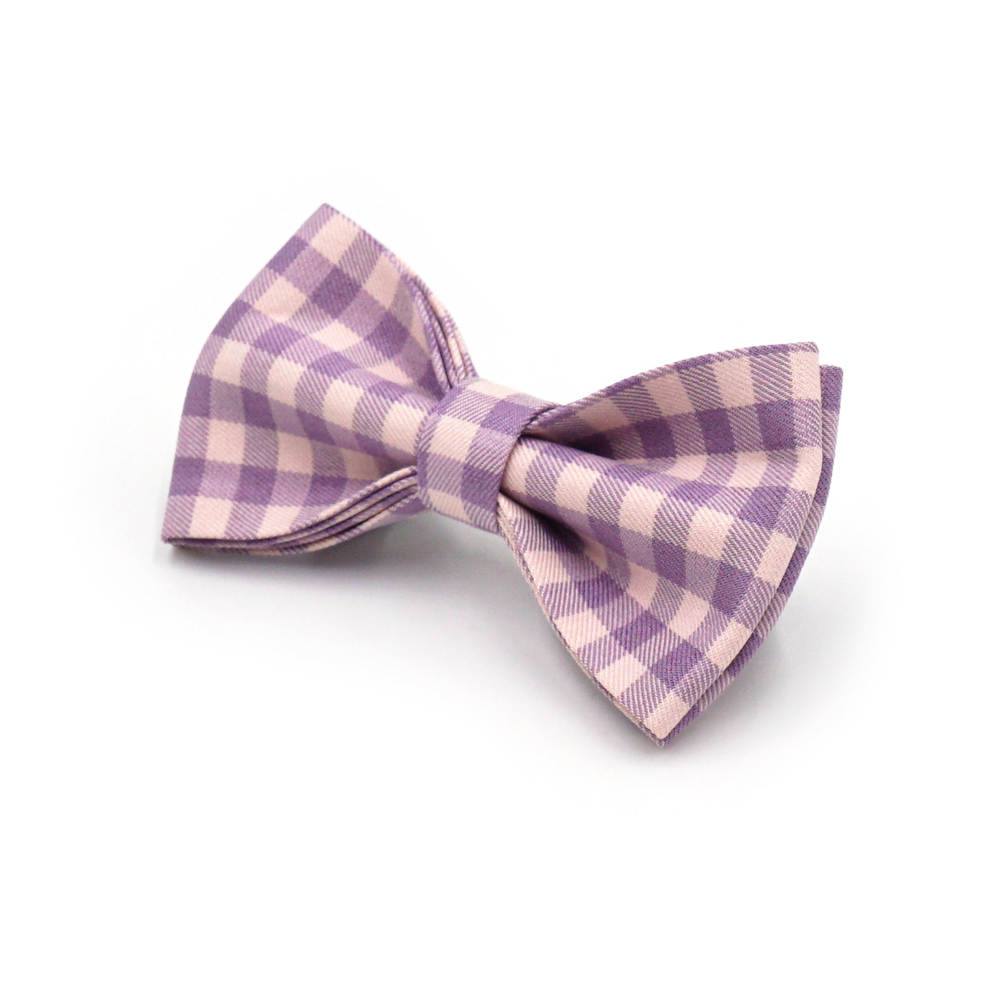 Wisteria Plaid Dog Walking Set