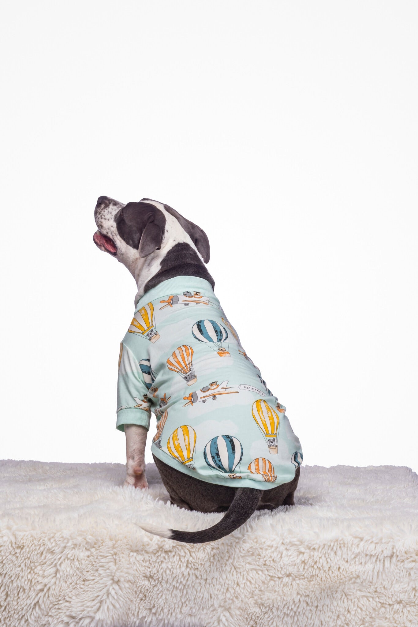 Dog Tee | Licensed to Fly