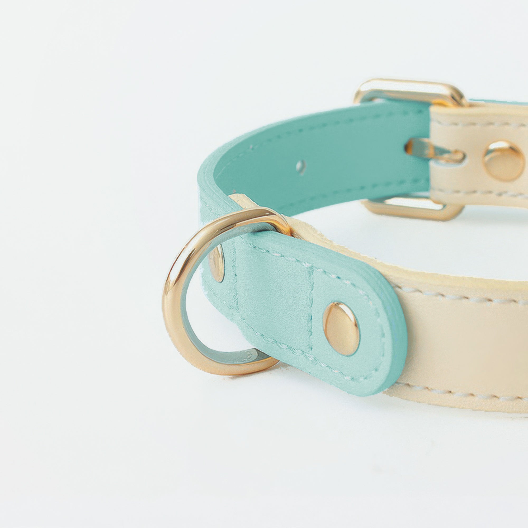 Capri Leather Collar & Leash Set - Mint