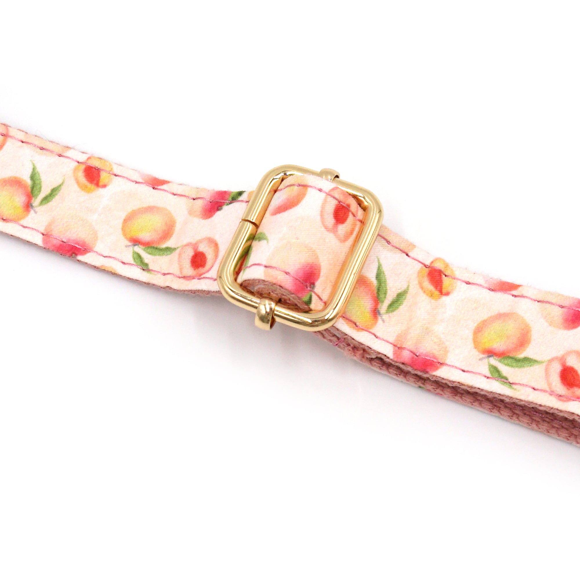 Honey Peach Dog Walking Set