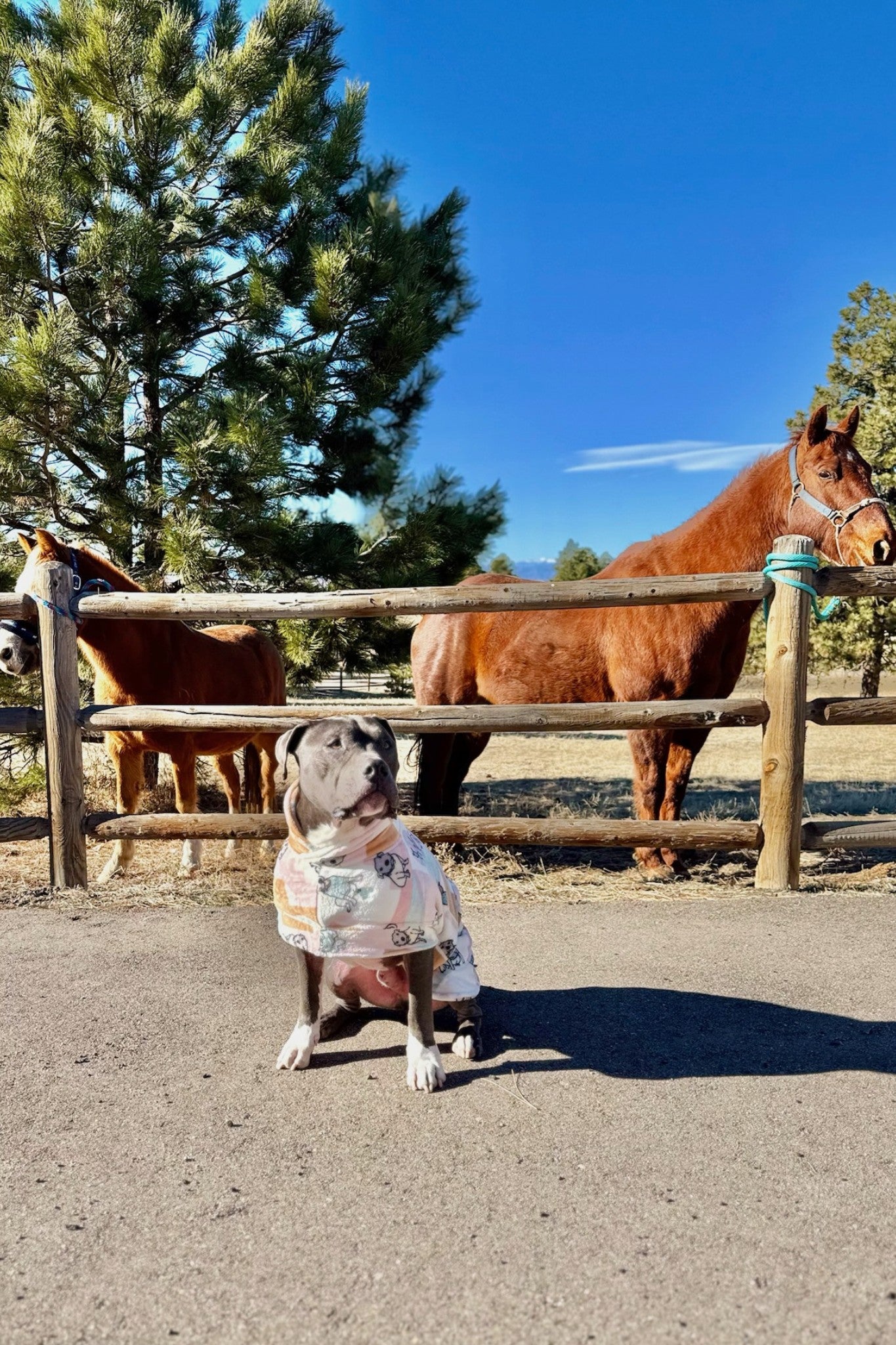 Rescue Ranch Snuggle Buddy Dog Robe