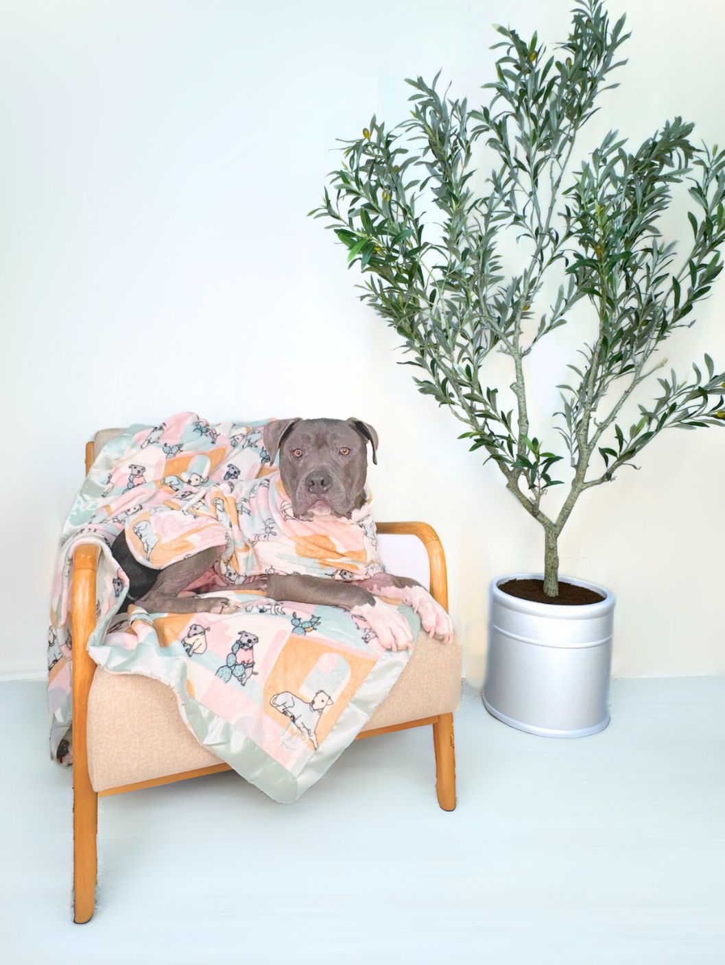 Dog Lounge Robe | Rescue Ranch